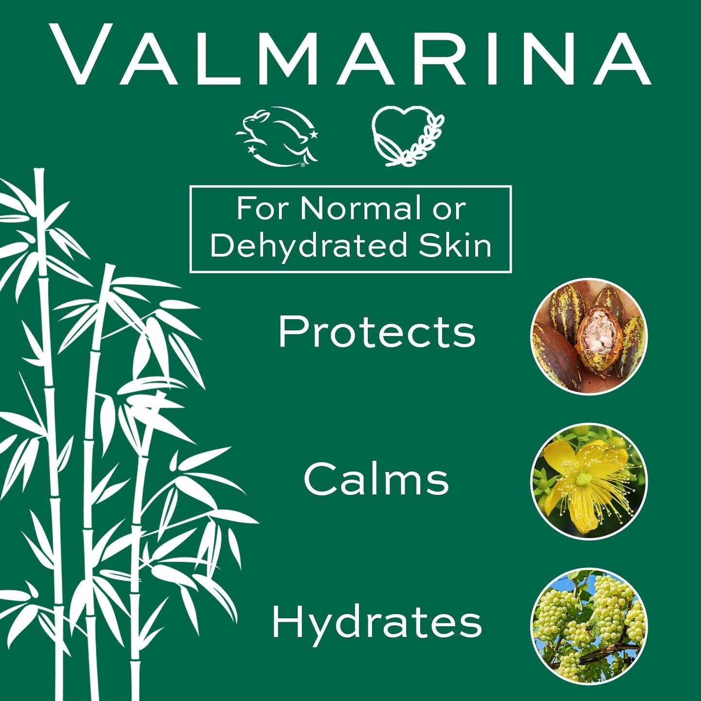 Christine Valmy Valmarina Light Nighttime Moisturizing Lotion, 1.69 Ounce