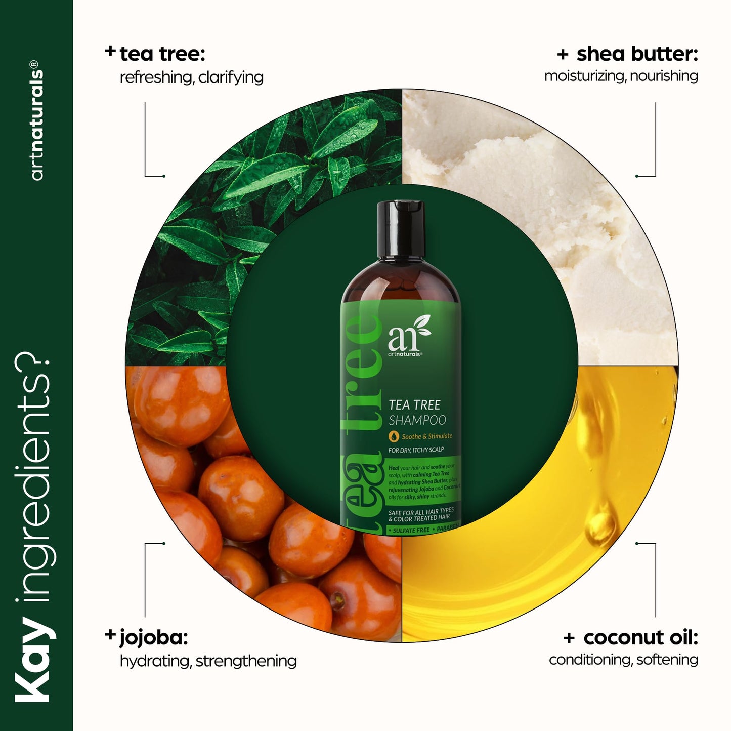 artnaturals Tea Tree Conditioner 16 Fl Oz - Sulfate Free – Made w/ 100% Pure Natural Therapeutic Grade Tea Tree Essential Oil - For Dandruff, Sensitive, Itchy, Dry scalp - For Men & Women