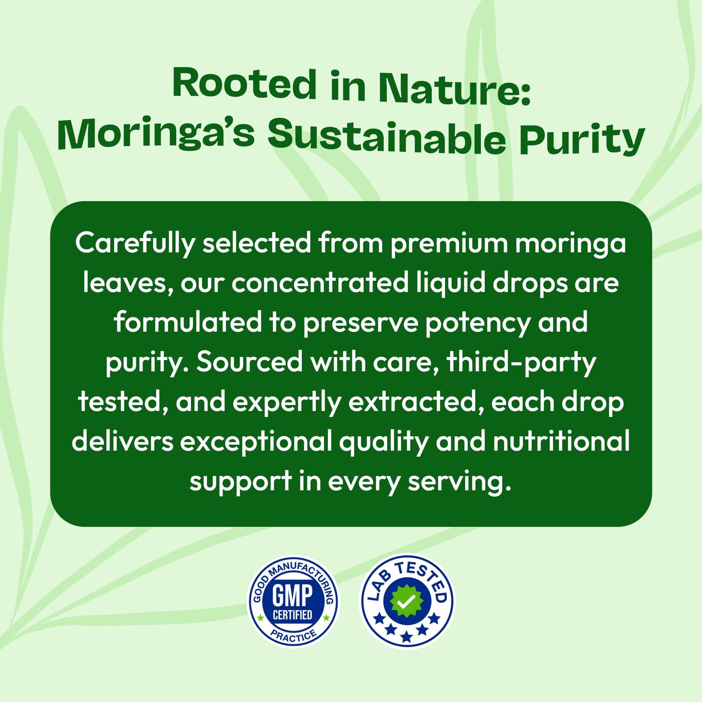 Moringa Liquid Drops Supplement – Vegan, Gluten Free – Greens Superfood Powder & Moringa Capsules Alternative – Mix with Tea Drinks – Packed with Antioxidants for Natural Vitality (Mixed Berry, 60 mL)