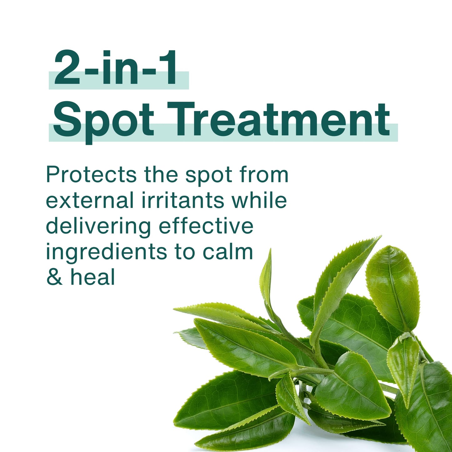 Soothe Blemish Cream | Green Tea Proactive Spot Care, Cream to Patch Formula, Hydrates and Soothes Skin, Makeup Friendly, Korean Skincare, 0.67 fl oz.