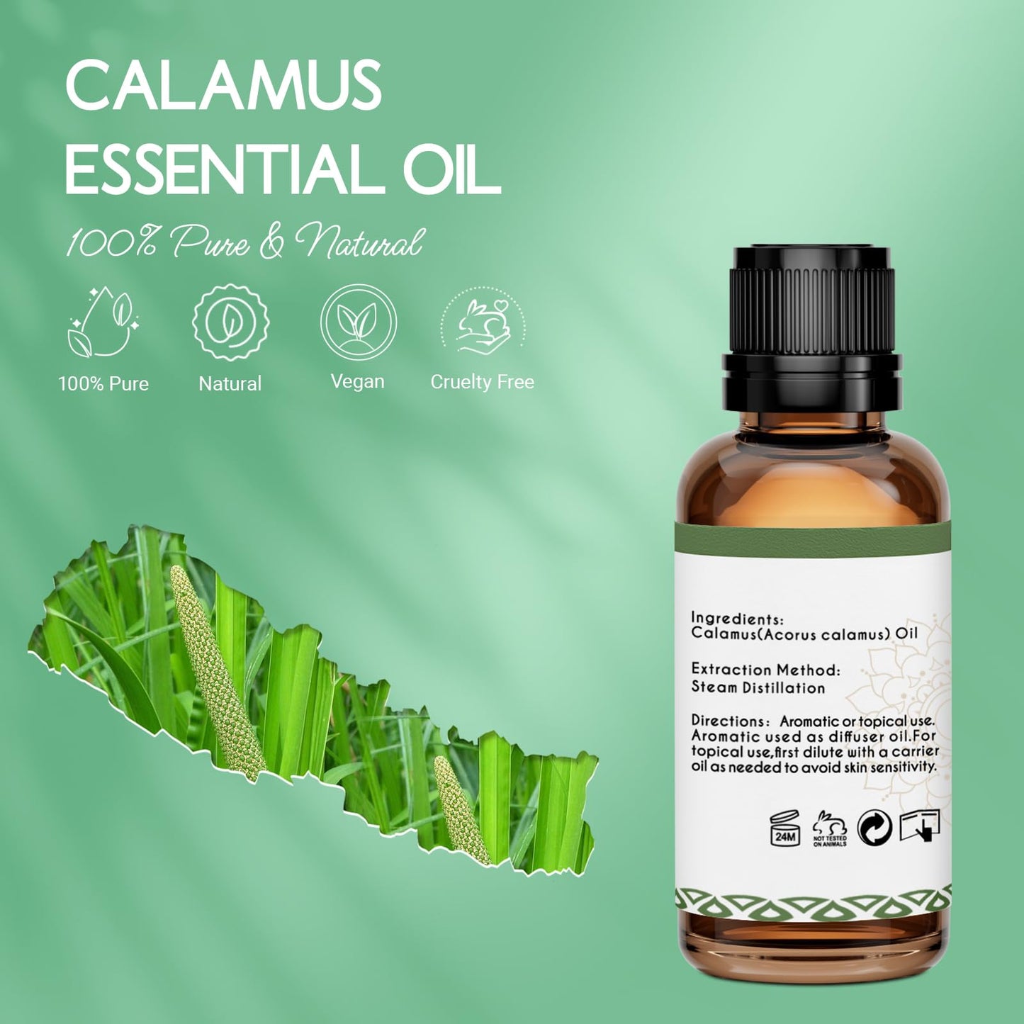 LOTUSJOY Calamus Essential Oil for Skin Hair Diffuser DIY Anointing Oil- 1 Oz