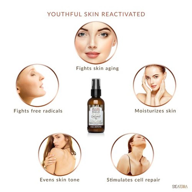Shea Terra Kigelia Age Defense Collection – Antioxidant Face Serum | Natural Anti-Aging Face Serum with Antioxidants that Moisturize, Renew and Repair Skin – 2oz