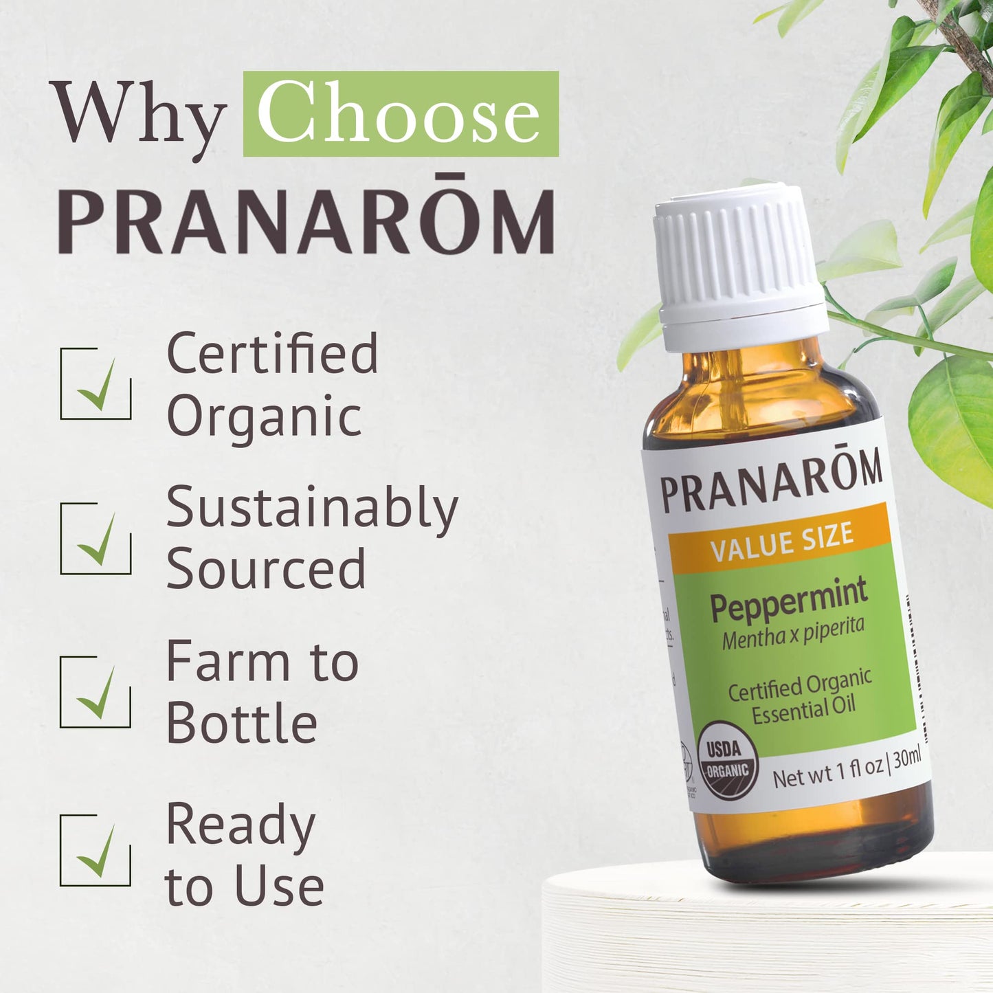 Pranarom USDA Certified Organic Peppermint Essential Oil (30ml), 100% Pure Undiluted Therapeutic Grade from India for Aromatherapy, Diffuser, Topical, Cooling, Massage & Relaxation