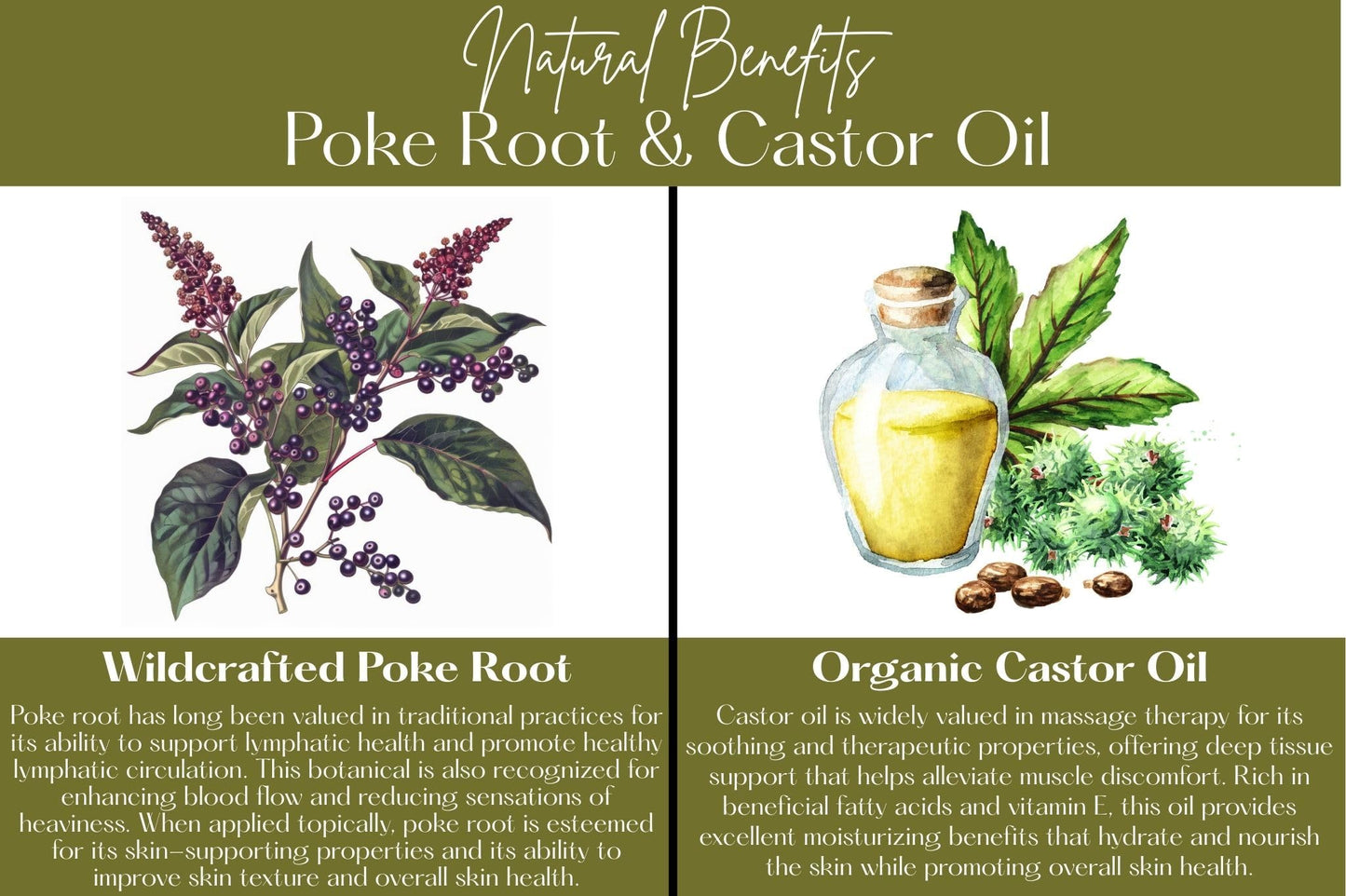 Poke Root & Castor Oil Salve -1oz- Cysts, Boils, Fibroids, Swollen Lymph Nodes, Breast & Joint - Vegan Lymphatic Support Massage Balm - Natural Deep Tissue Relief Ointment Handmade in The USA