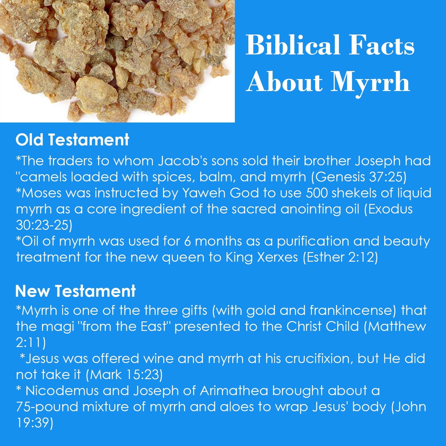 BIBLE N Beautyoils Queen Esther Myrrh Beauty Face Oil, Myrrh-Infused Skincare Essential Oils, Rosehip, Argan, Seabuckthorn, Pomegranate Seed Face Oil for Radiant Skin, 1.0 Fl Oz (Natural Nutty)