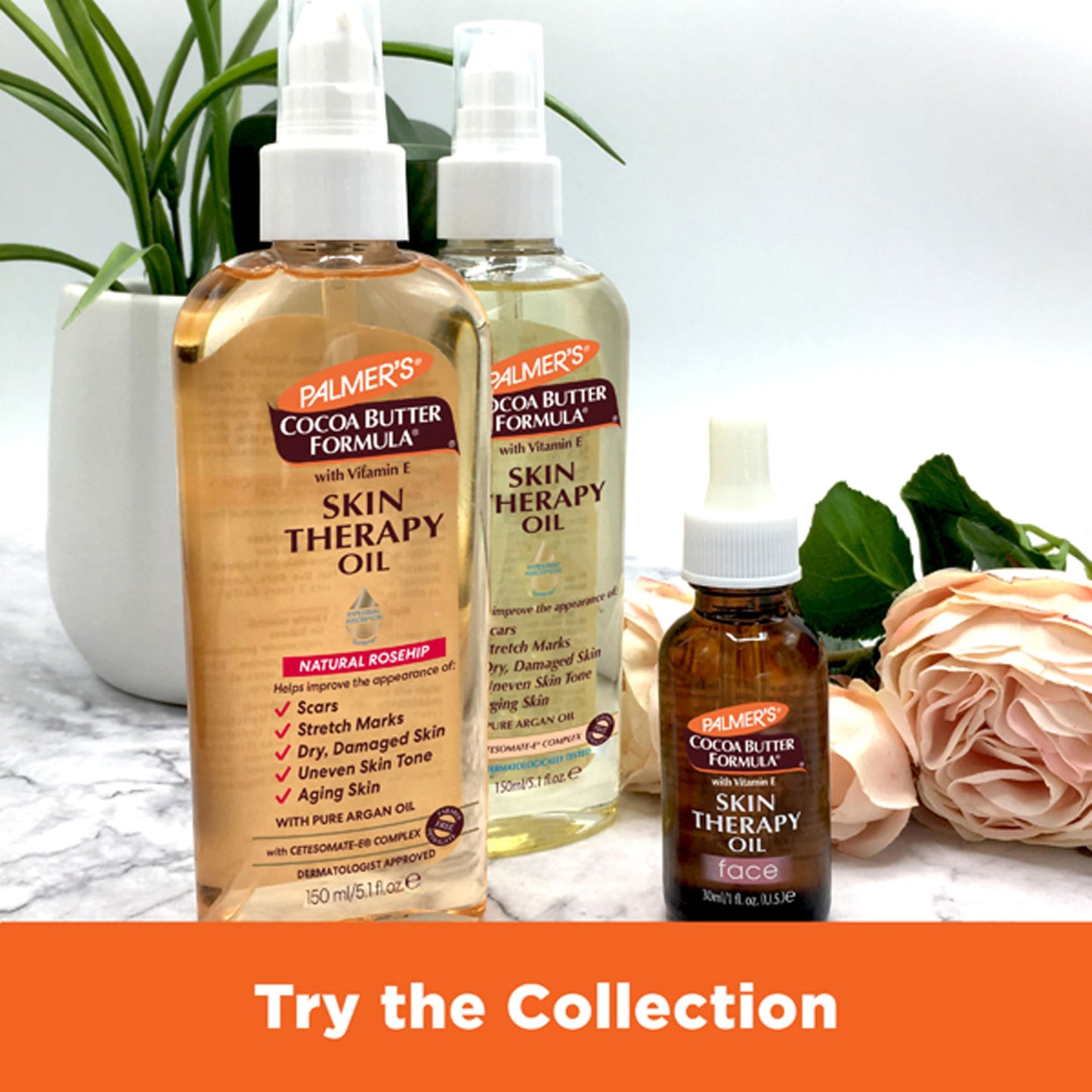 Palmer's Cocoa Butter Formula Skin Therapy Moisturizing Body Oil with Vitamin E, Rosehip Fragrance, 5.1 Ounces (Pack of 6)