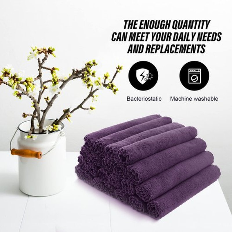 MOONQUEEN Ultra Soft Premium Washcloths Set - 12 x 12 inches - 24 Pack - Quick Drying - Highly Absorbent Coral Velvet Bathroom Wash Clothes - Use as Bath, Spa, Facial, Fingertip Towel (Plum)