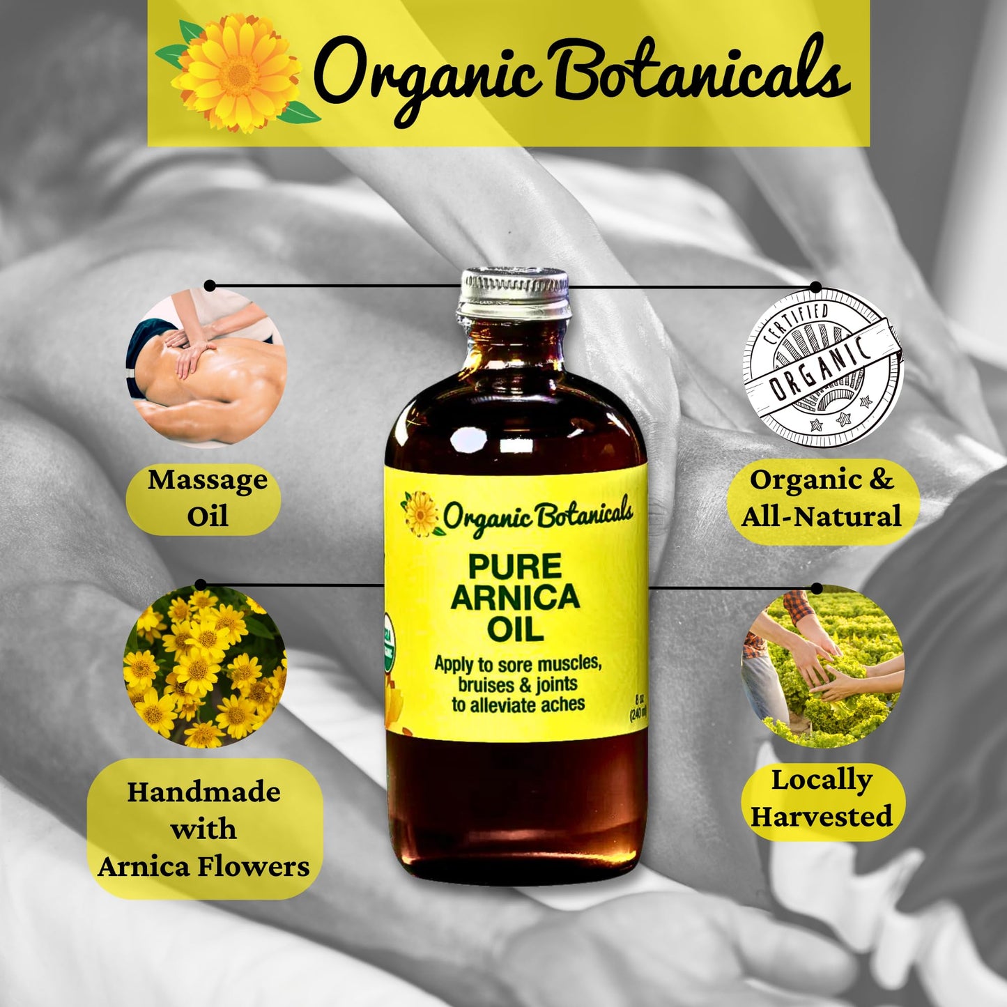 Organic Botanicals, Arnica Oil - Pure Organic Muscle Discomfort Bottle - Arnica Montana Oil for Arthritis, Bruising & Swelling, Muscle, Joint Discomfort, and Sports Injuries, Arnica Massage Oil (2 oz)