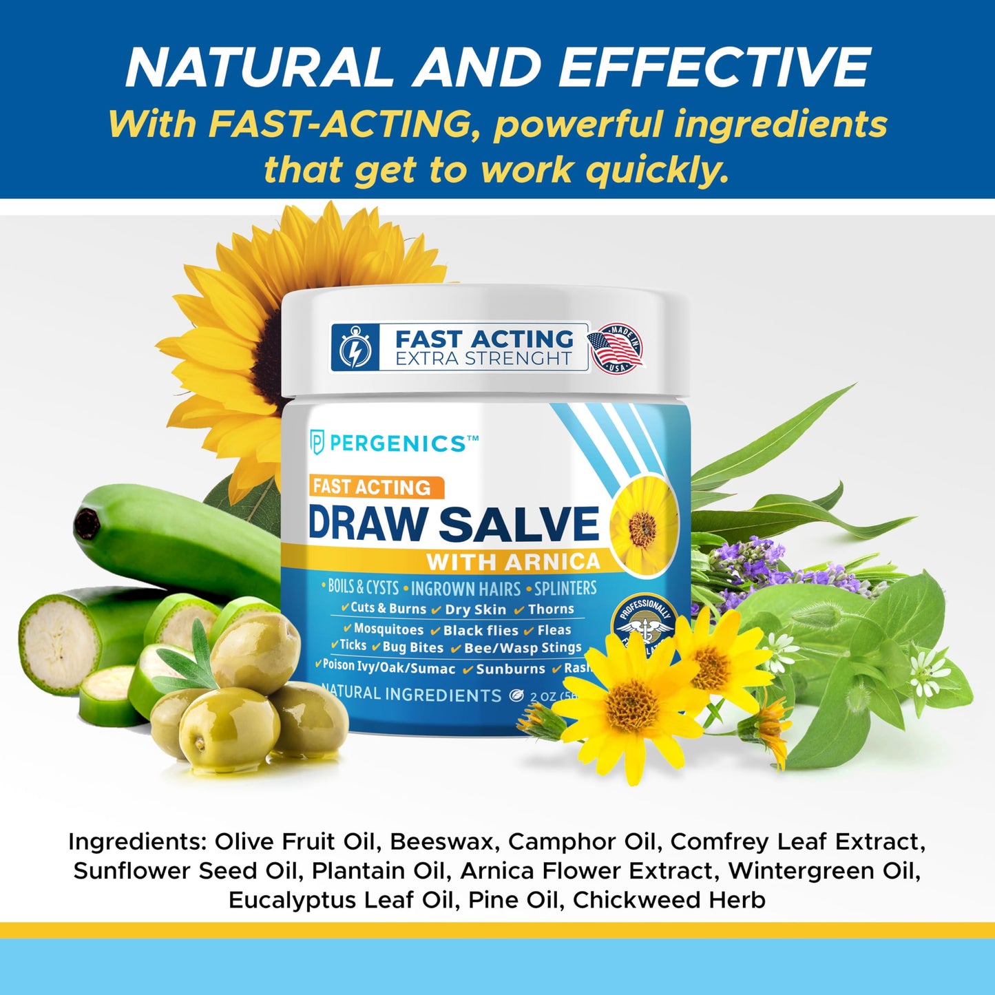 Pergenics Drawing Salve with Arnica Ointment, for Dry Skin, Cuts, Burns, Rash, Poison Ivy Oak, Itching, Insect Bites, Bee Sting, Ingrown Hair, 2 Oz