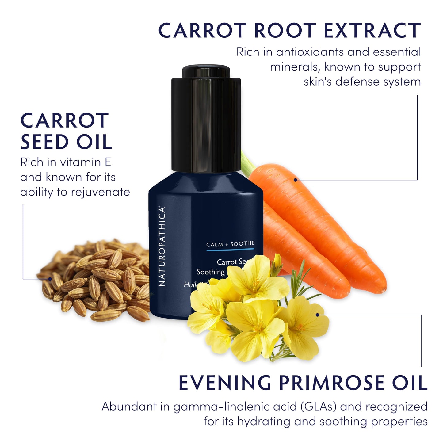 Naturopathica Carrot Seed Soothing Facial Oil, Rejuvenating Face Oil to Help Prevent Redness & Protect Skin, Hydrating Antioxidant Oil for Face, 1.18 fl oz