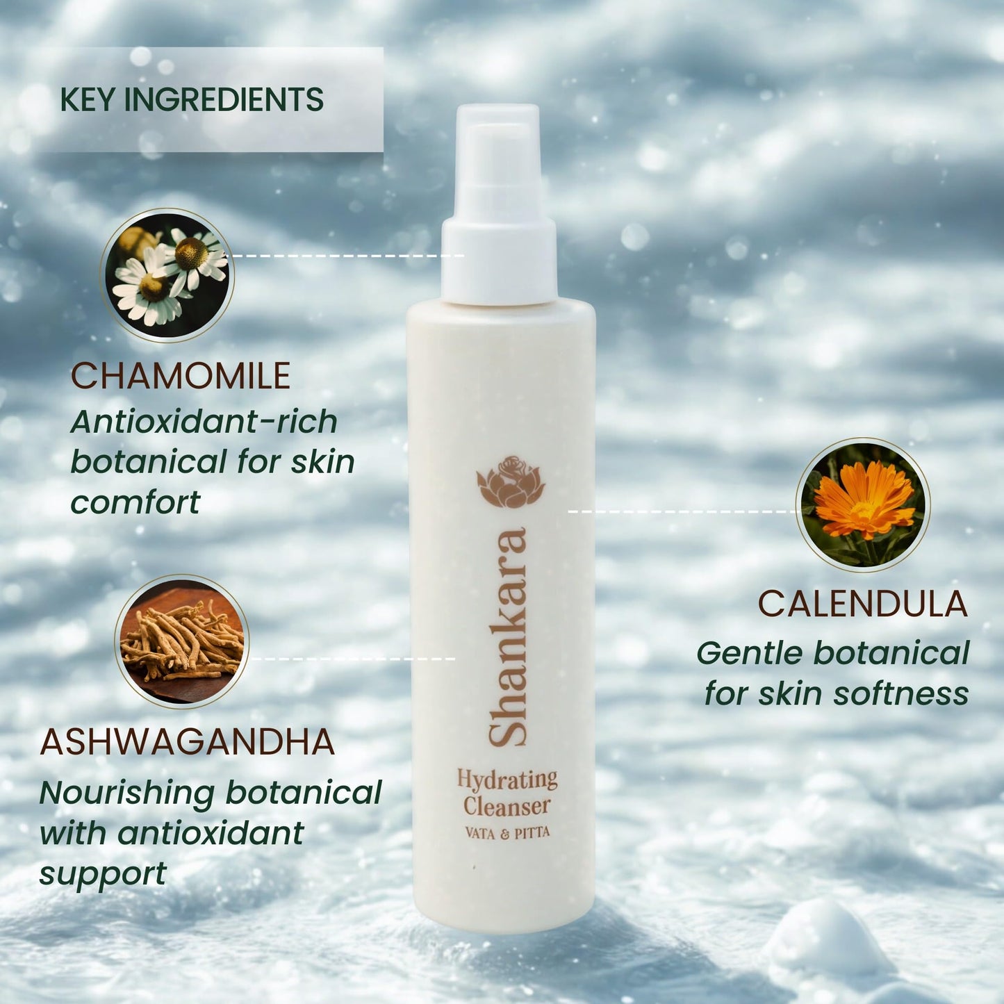 Shankara Rich Repair Hydrating Cleanser – Silky Ayurvedic Face Wash with Chamomile, Calendula & Ashwagandha – Non-Irritating Daily Cleanser for Dry & Sensitive Skin – Clean & Vegan (200ml)