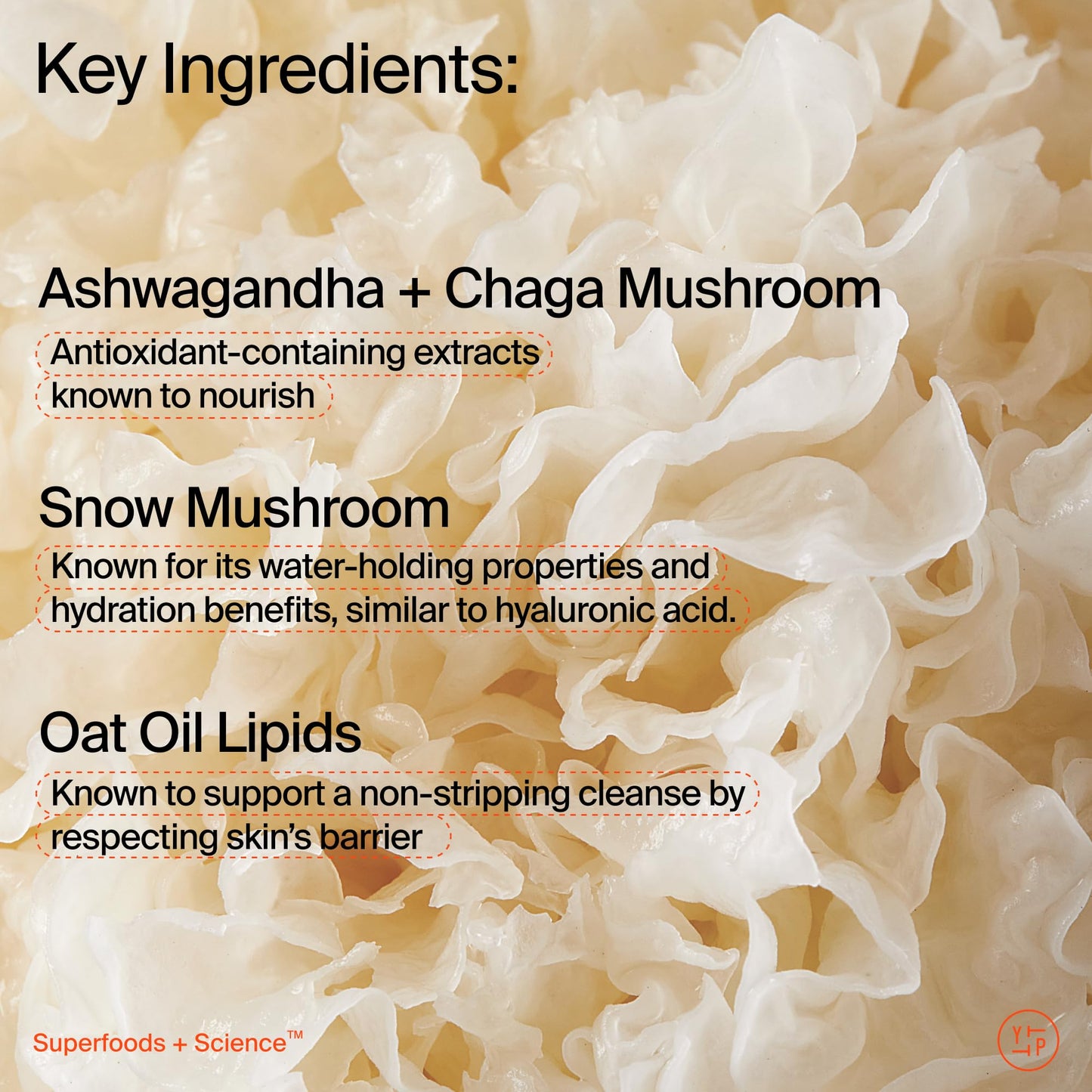 Youth To The People Supershroom Facial Cleanser Travel - Adaptogens + Snow Mushroom Oat Oil Lipids Vitamins Face Wash, Nourishing Makeup Remover for Dry + Sensitive Skin, Soothes Redness - 2 fl oz