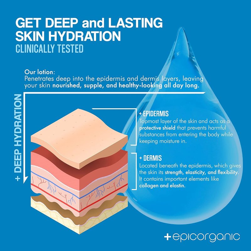 After Sun Daily Moisturizer - Vitamin E Cream for 24-Hour Hydration | Fragrance-Free Face & Body Lotion | 8 oz
