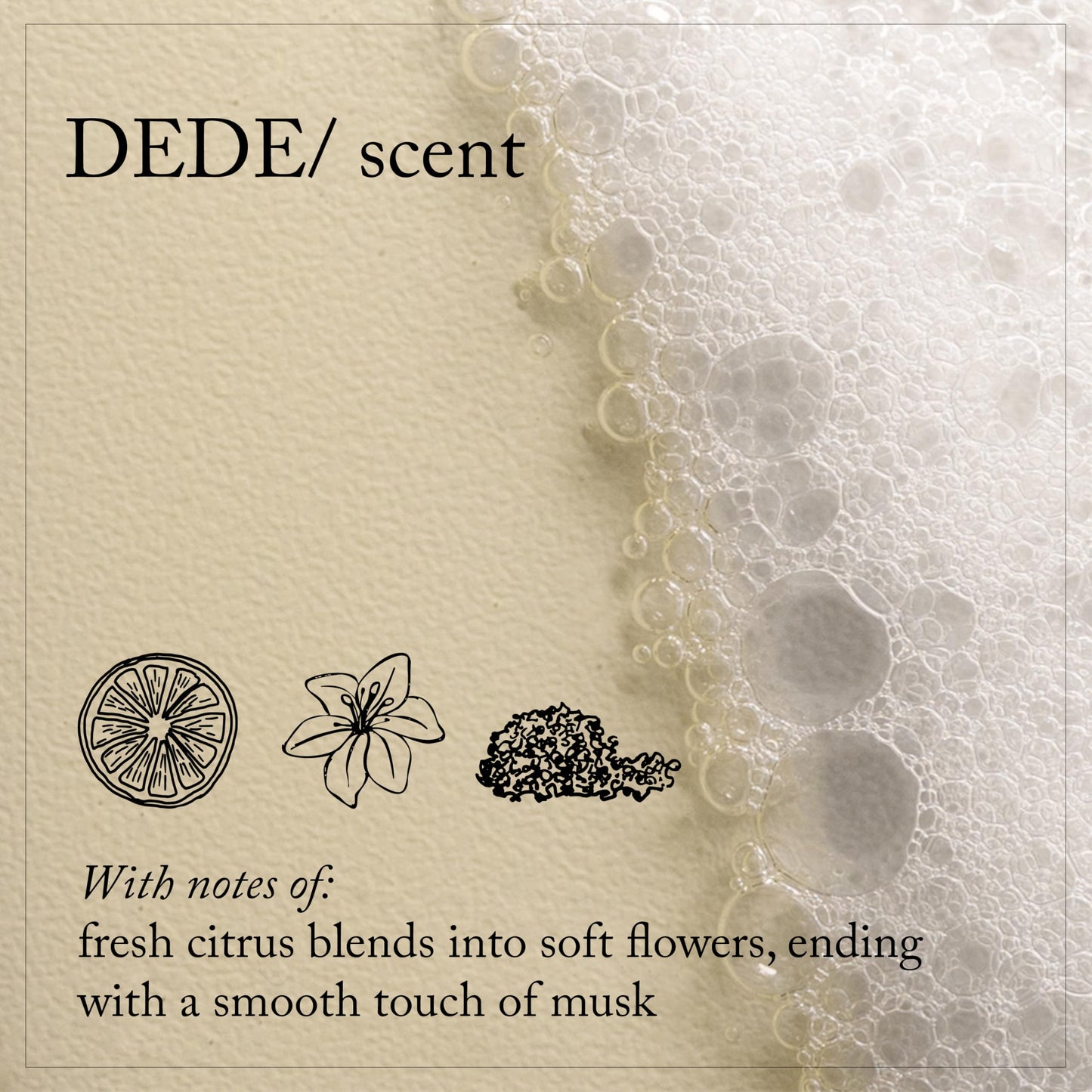 DEDE/Shampoo, 8.5 fl oz.