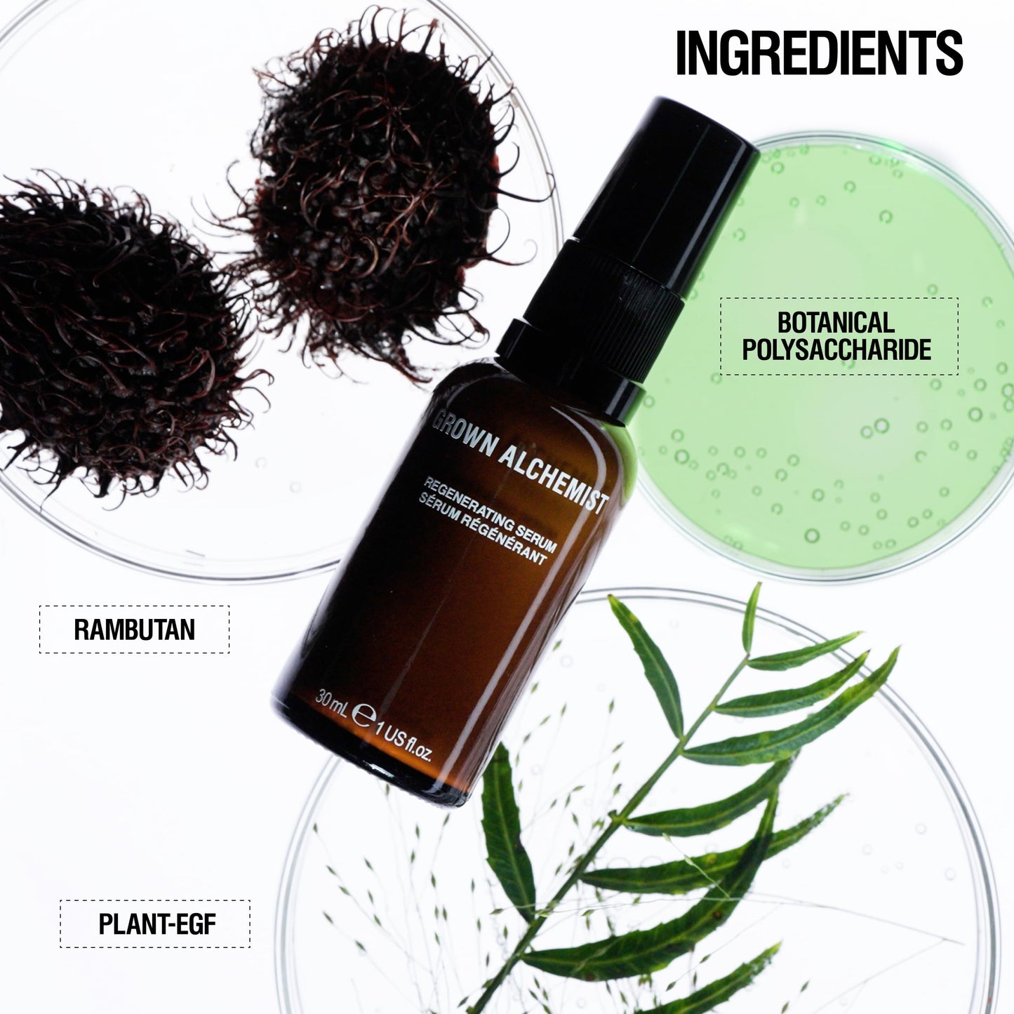 Grown Alchemist Regenerating Serum Anti-Aging Face Moisturizer with Peptide-8, E-2 Polysaccharide, 30 ML