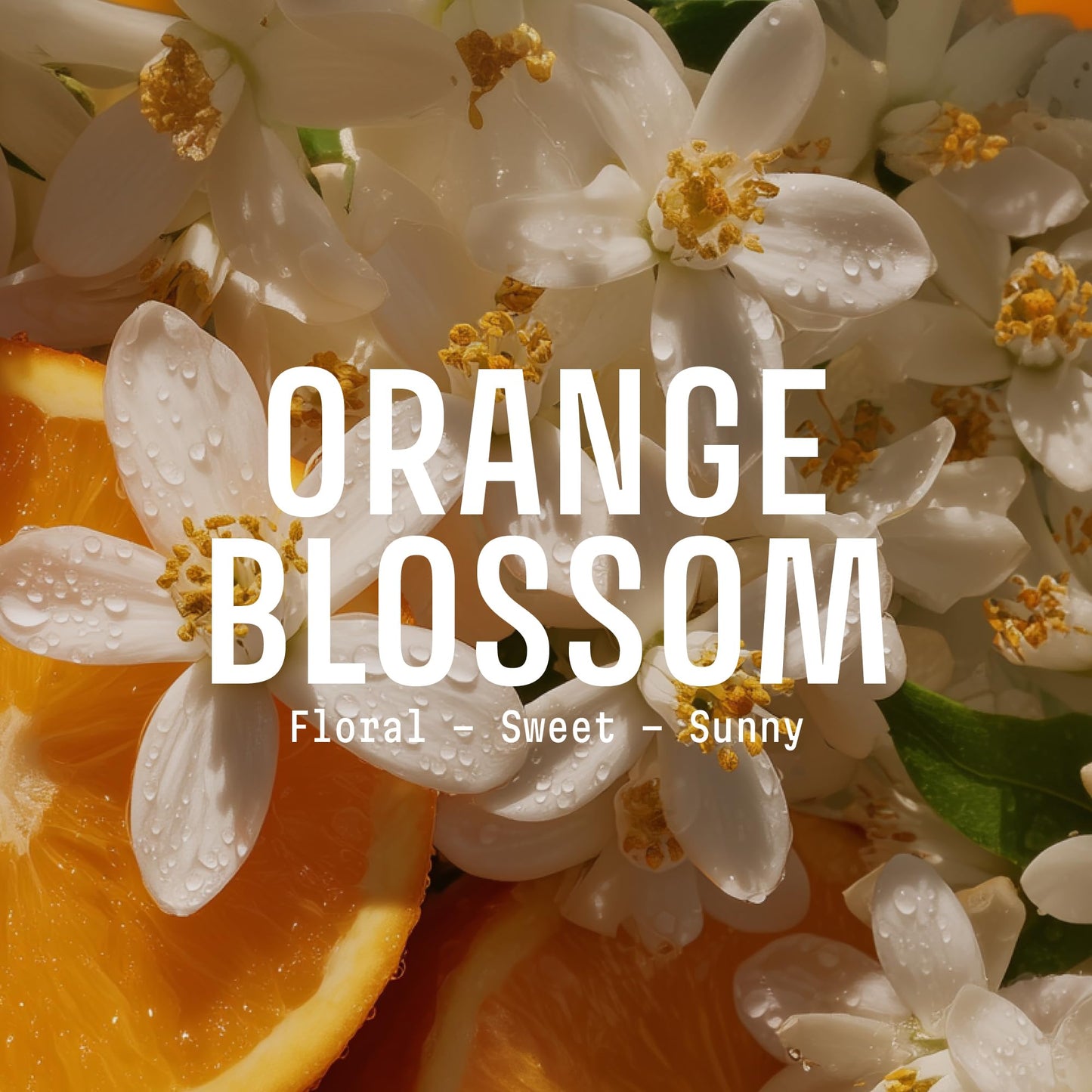 Panier des Sens Orange Blossom Liquid Hand Soap Refills, 2-Pack, 34 fl oz