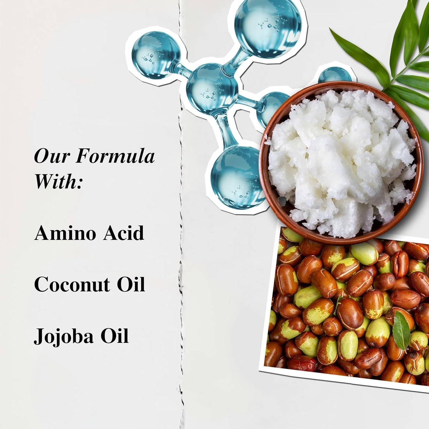 Kiehl's Amino Acid Conditioner, Strengthening and Moisturizing Hair Treatment, with Amino Acids, Jojoba and Coconut Oil to Improve Manageability and Added Shine, Suitable for All Hair Types