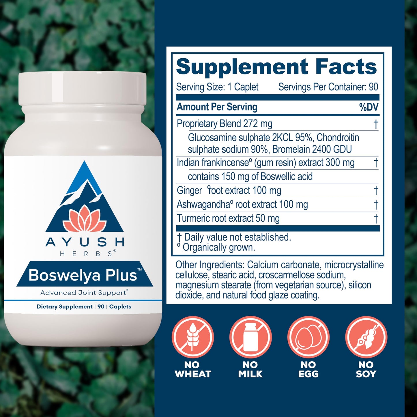 Ayush Herbs Boswelya Plus - Glucosamine Chondroitin Joint Support Supplement, Turmeric Muscle Support for Men & Women, Joint Care with Curcumin - 90 Servings