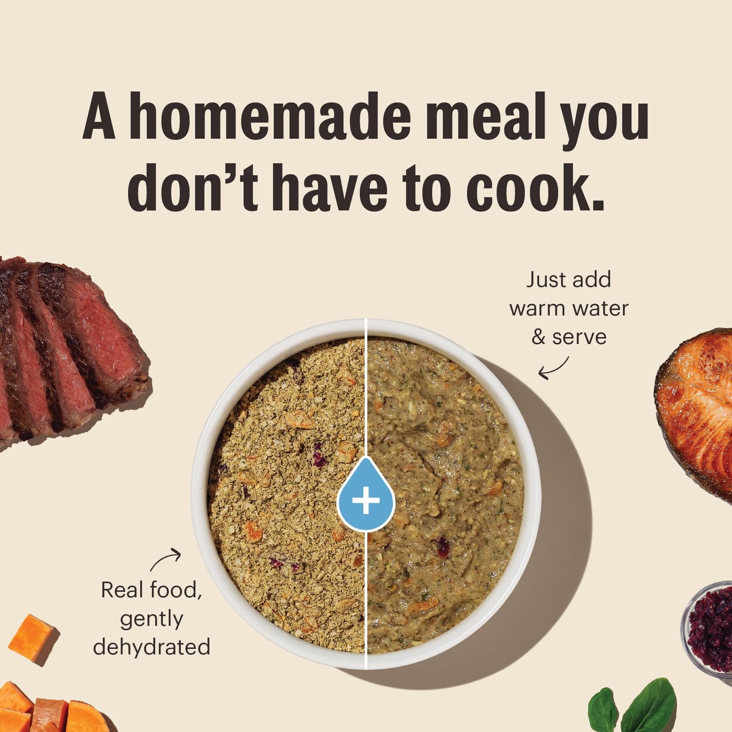 The Honest Kitchen Wholemade Whole Grain Chicken Recipe, Human Grade Dehydrated Dog Food, Just Add Water, Supports Digestion, Skin & Coat, Topper for Dry or Wet Dog Food, 10 lb Box Makes 40 lbs
