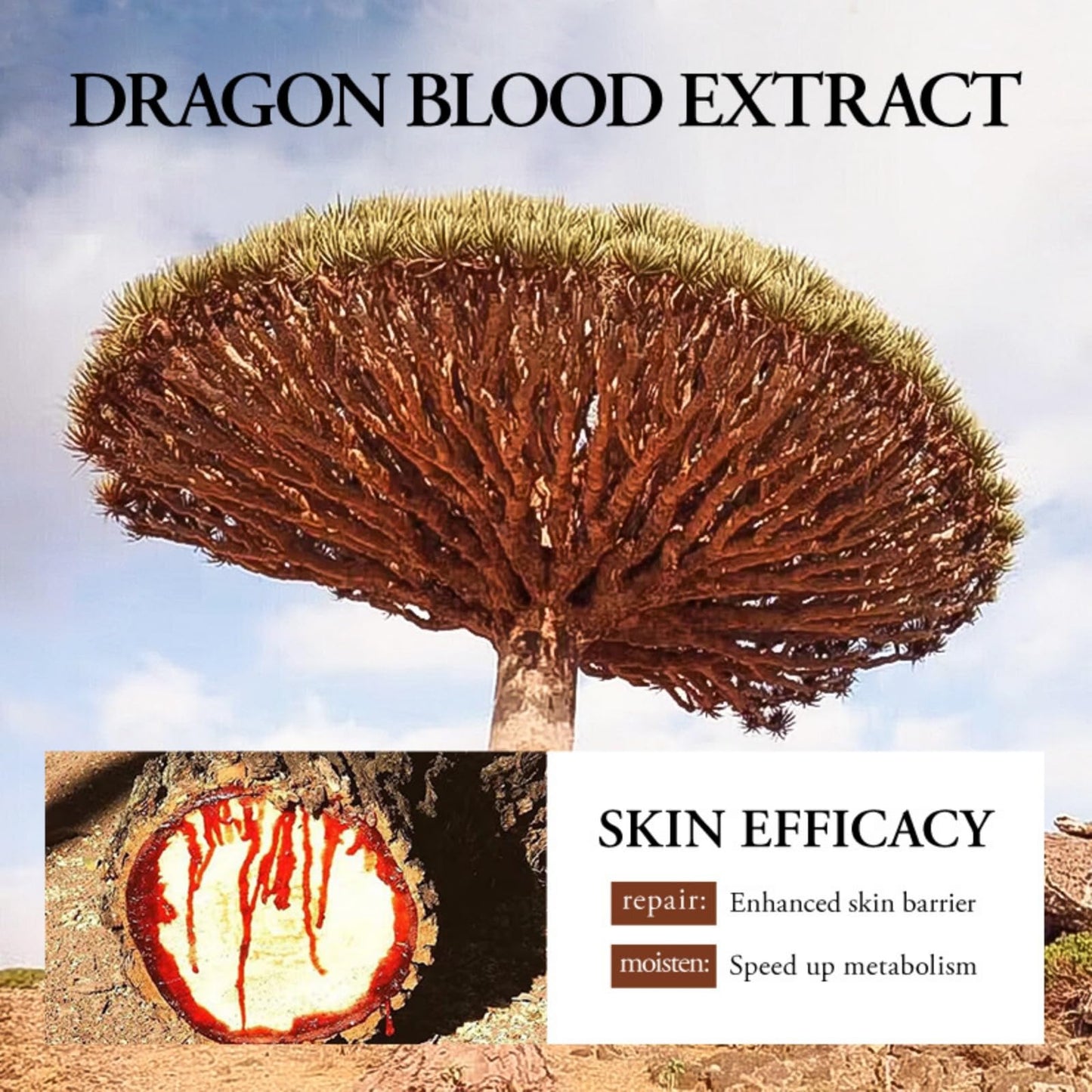 suckoo For SADOER Ganoderma Lucidum Dragon's Blood Ceramides Facial Masks,Deep Moisturizing Face Mask,Face Mask Patches,Brighten Complexion 25mlx10pcs