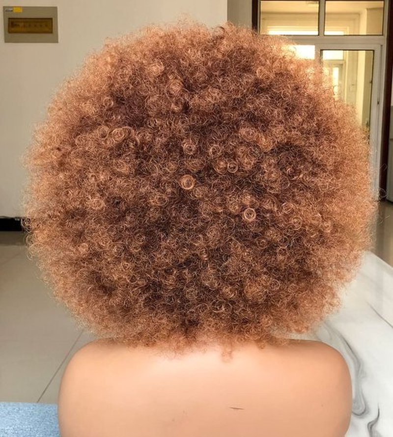 HIHOO Short Afro Wig with Bangs for Black Women Afro Kinky Curly Wig 70s Premium Synthetic Big Afro Wig(Brown)