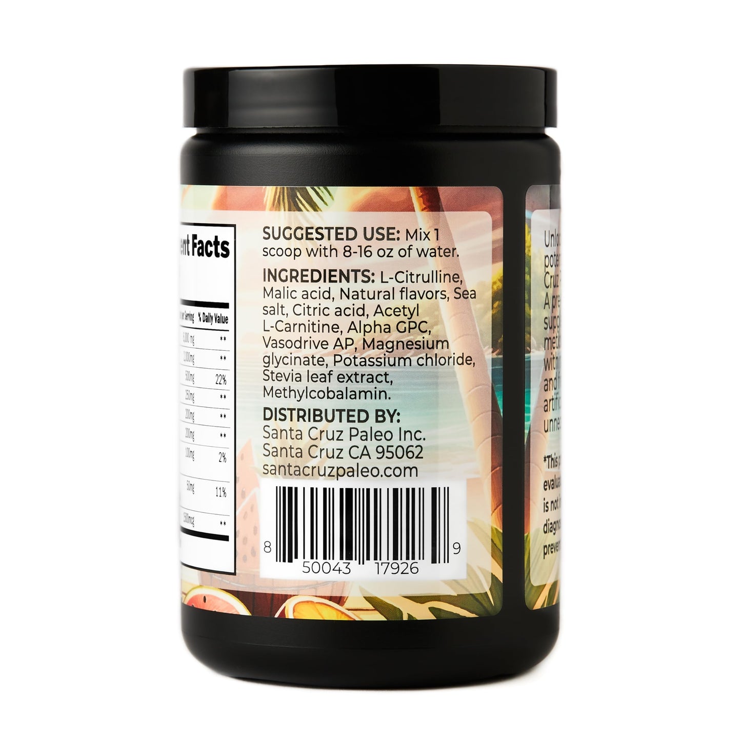 Santa Cruz Paleo Pre Workout Powder Electrolytes, Magnesium, Potassium, Sea Salt & L Citrulline, Caffeine & Sugar Free Preworkout Drink Mix for Energy & Hydration, Island Punch Flavor, 30 Servings