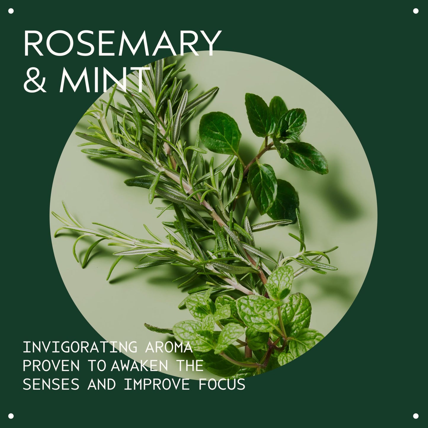 Aveda Rosemary Mint Weightless Conditioner | Lightweight Daily Conditioner | Adds Body & Shine| For Normal to Oily Hair, Fine to Medium Hair | Invigorating Aroma | 97% Naturally Derived*, 33.8 Fl Oz