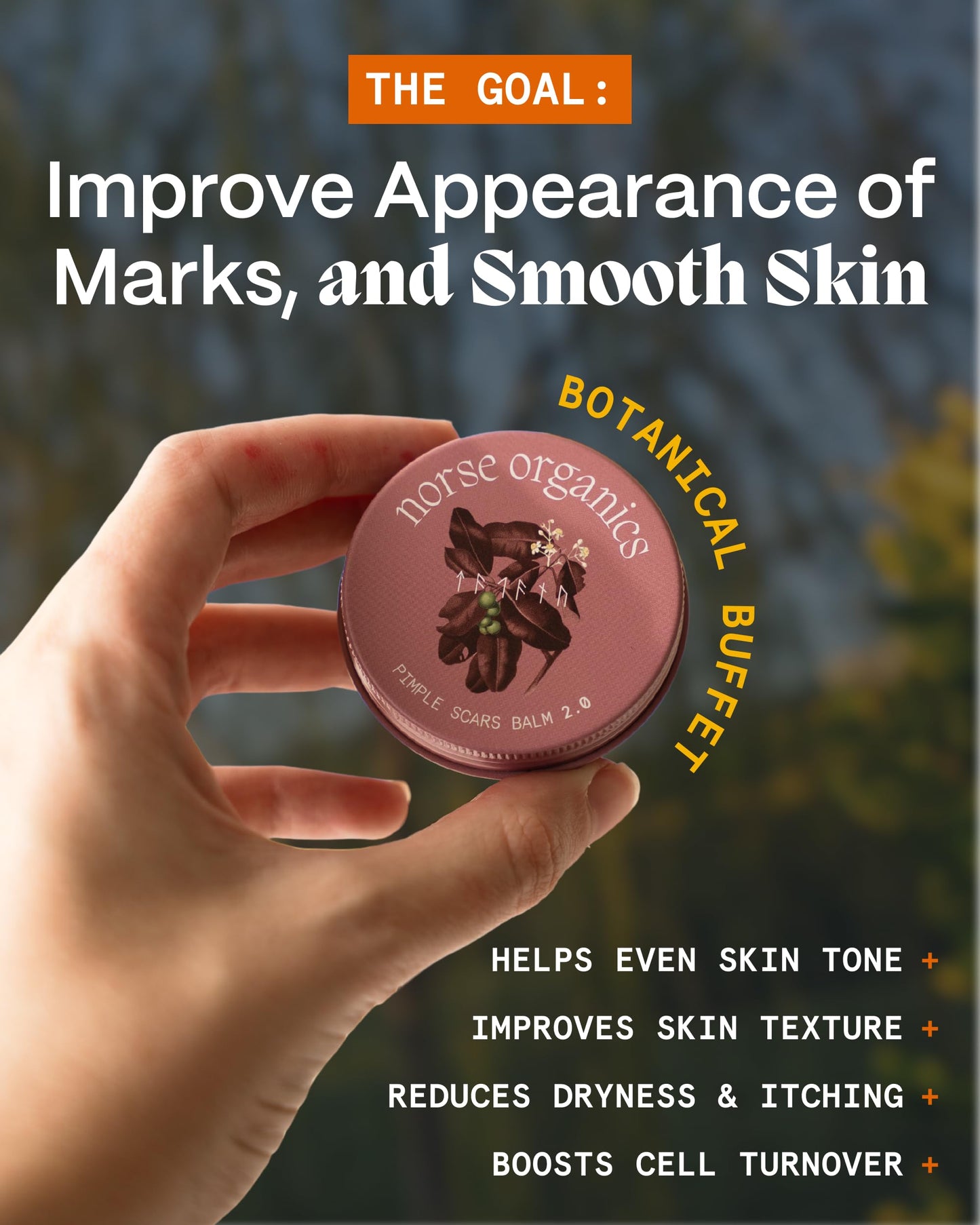 Norse Organics Pimple Scars Balm 2.0 | Botanical Body Balm with Arctic Herbs & Beeswax | Comfrey, Arnica & Sea Buckthorn | Restores & Smooths Skin | 1 oz