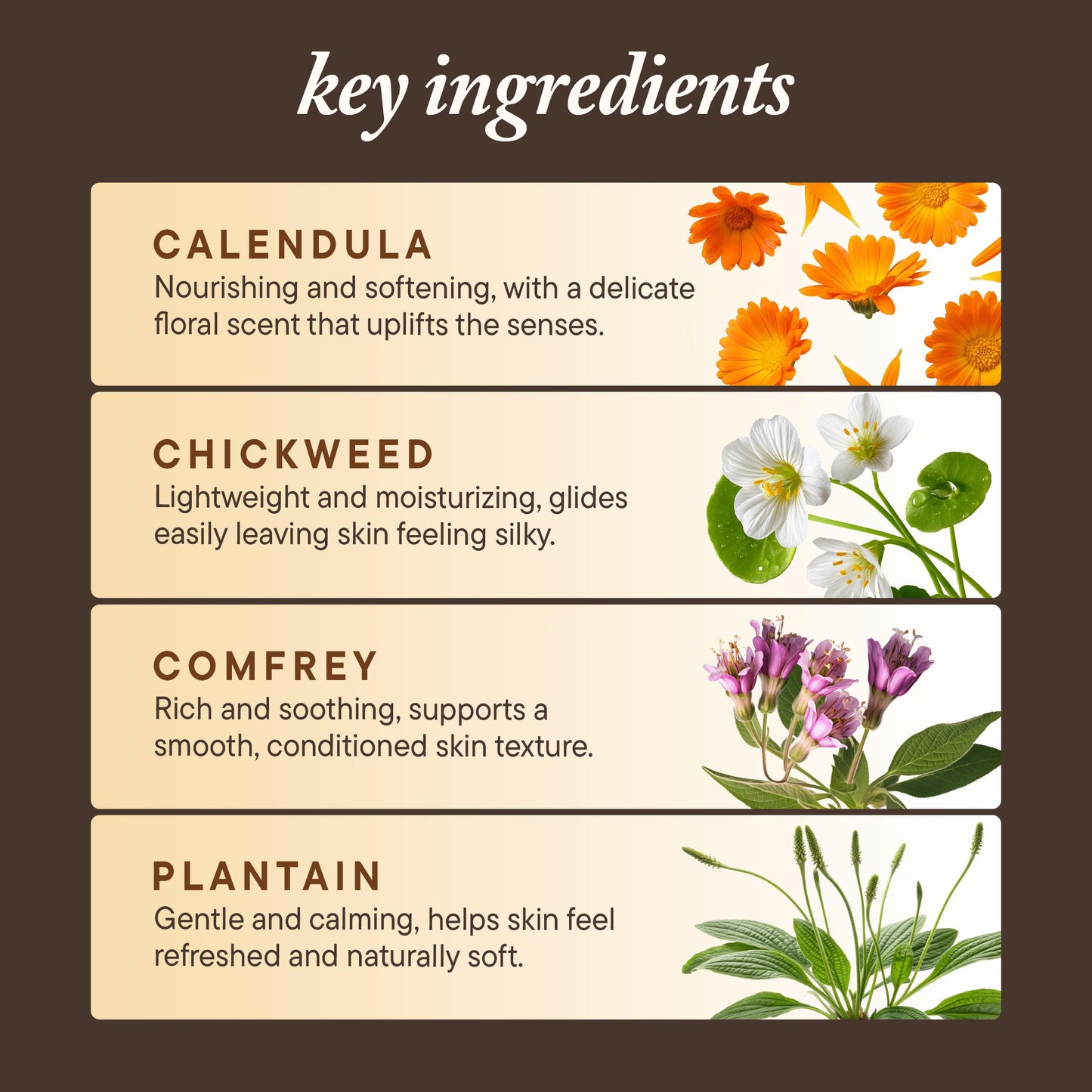 Kuumba Made Herbal Salve, Comfort Balm with Calendula & Comfrey, 2 Oz