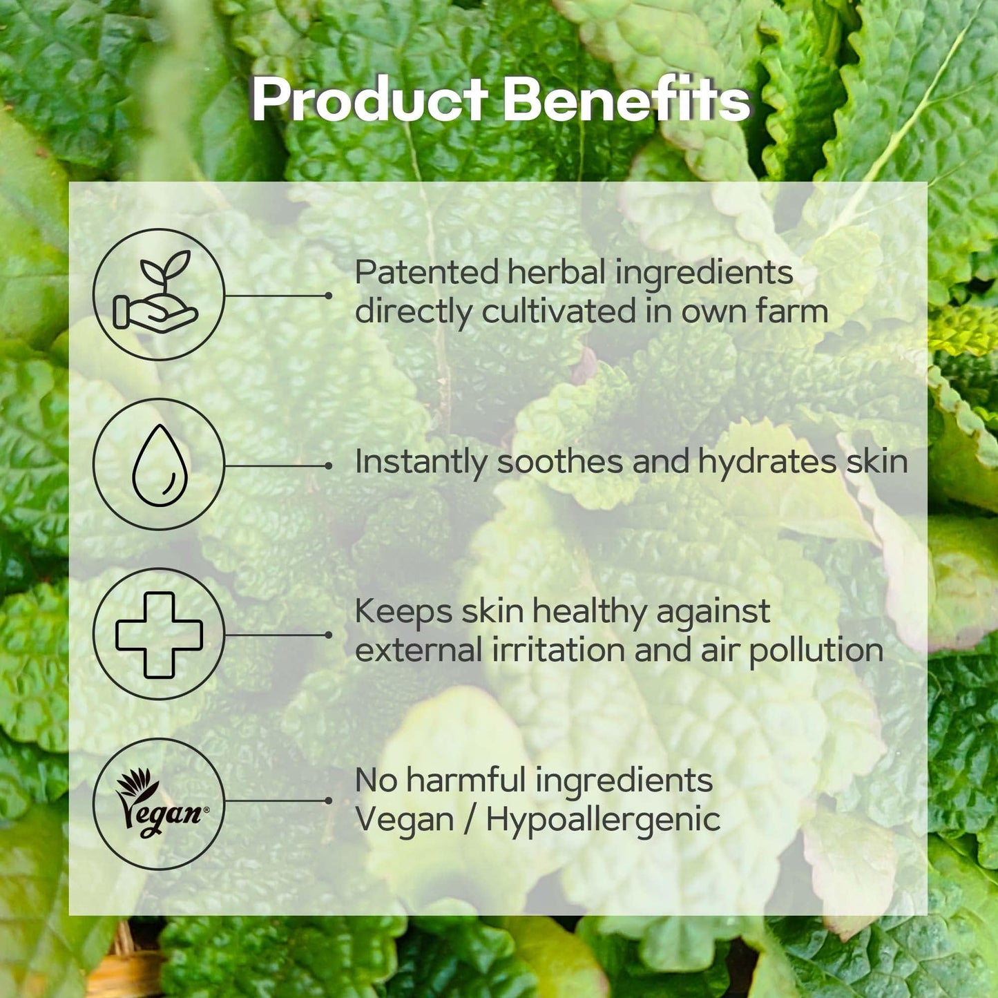 MEIDEME Green Salvia Calming Ampoule (50ml) - Soothing and Hydrating Face Moisturizer for Oil Balance, Korean Serum