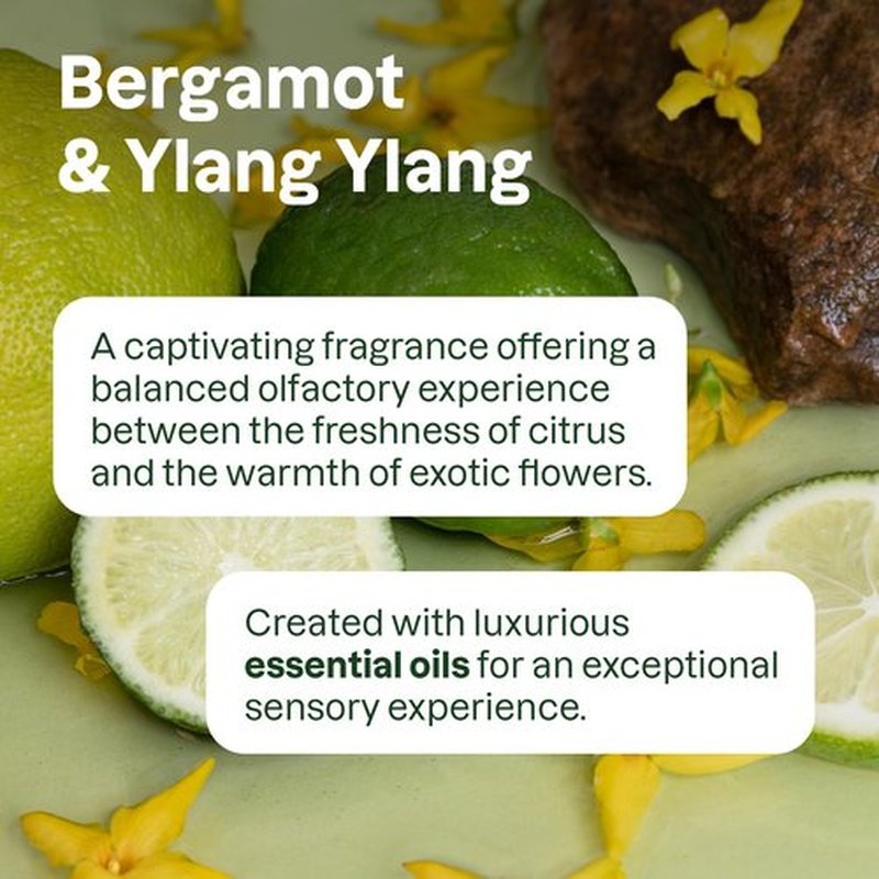 ATTITUDE Conditioner with Essential Oils, Plant and Mineral-Based Ingredients, Vegan Beauty Products, Aluminum Bottle, Nourishing, Bergamot and Ylang Ylang, 16 Fl Oz