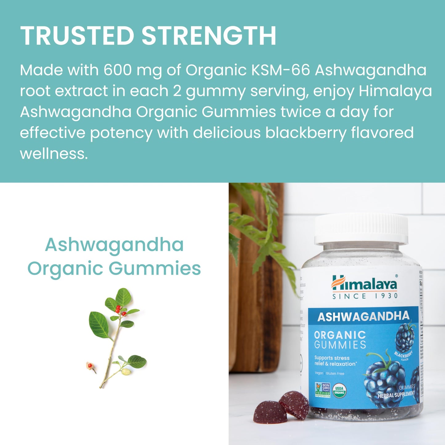 Himalaya KSM-66 Organic Ashwagandha Gummies, Ashwagandha Supplements to Help with Stress Relief, Energy and Relaxation, Ashwagandha Gummies for Women and Men, Delicious BlackBerry Flavor, 60 Gummies