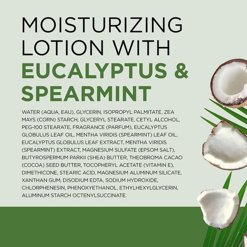 Dr Teal's Body Lotion, Eucalyptus & Spearmint & Essential Oils, 18 fl oz (Pack of 3)
