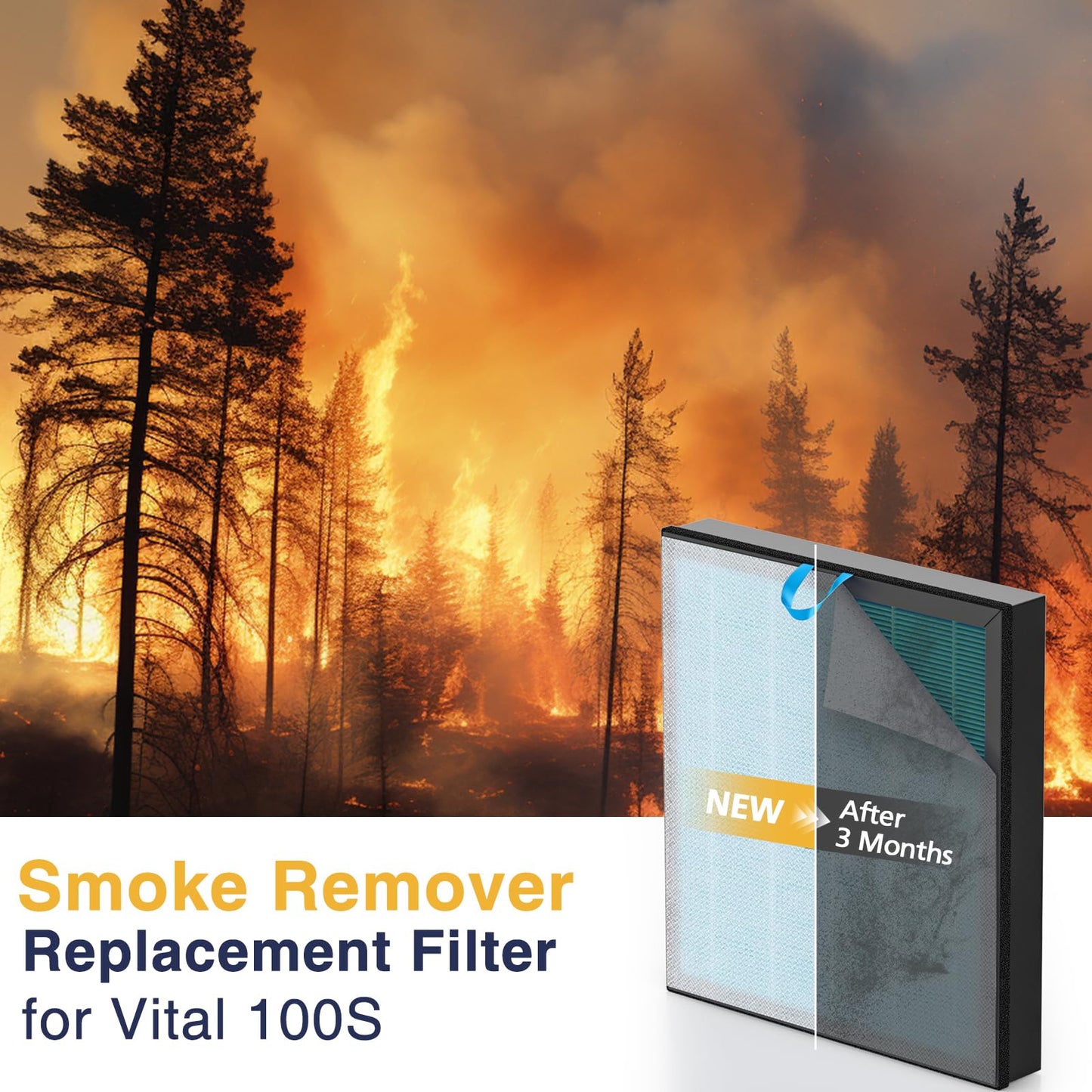 Vital 100S-P Smoke Remover Filter for LEVOIT Vital 100S/100S-P, 2 Pack