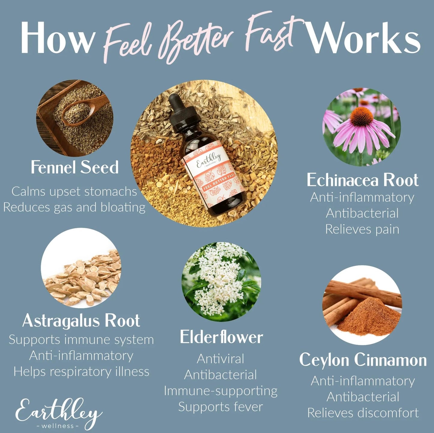 Earthley Wellness Feel Better Fast, All-Natural Relief for Minor Ailments, Echinacea, 3 Month Supply (1.69oz Glass, 1,000 Drops), Organic, Ceylon Cinnamon, Supports Immune & Digestive Health