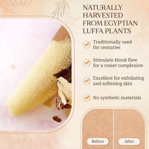 All Natural Loofah Sponge, Pack of 4 Real Egyptian Bath & Shower Exfoliating Loofa Scrubber Sponges for Face, Back & Body, Eco Friendly, No Toxic Chemicals, 6" x 6" by Crafts of Egypt