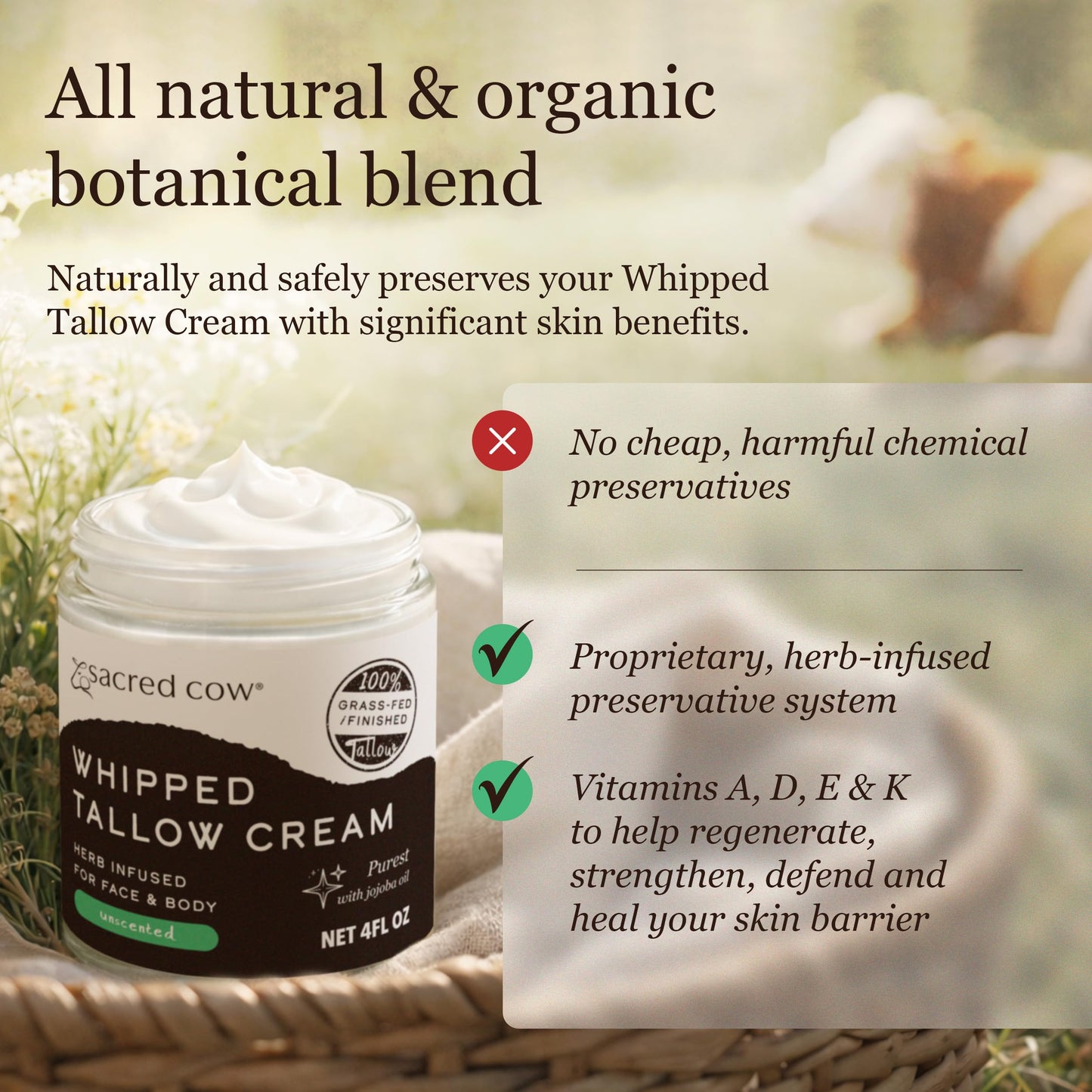 SACRED COW 100% Pure Organic Grass Fed Beef Tallow for Skin Care, Face Moisturizer, Body Butter, Hand Cream - Natural Whipped Tallow & Honey Balm Lotion Cream - Made in the USA - 4oz (UNSCENTED)