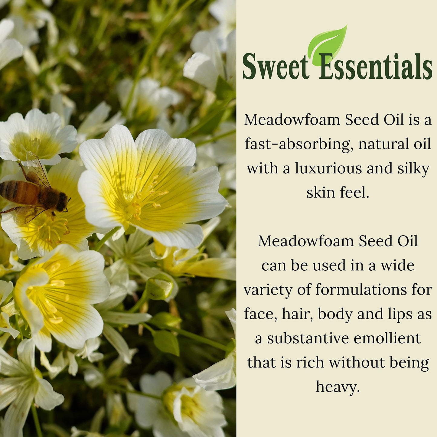 Sweet Essentials Premium Organic Meadowfoam Seed Oil, Imported From Canada, 2oz Glass Bottle, 100% Pure, Cold Pressed - For Hair, Skin and Nails | Perfect Carrier Oil | Also Excellent For Mature Skin