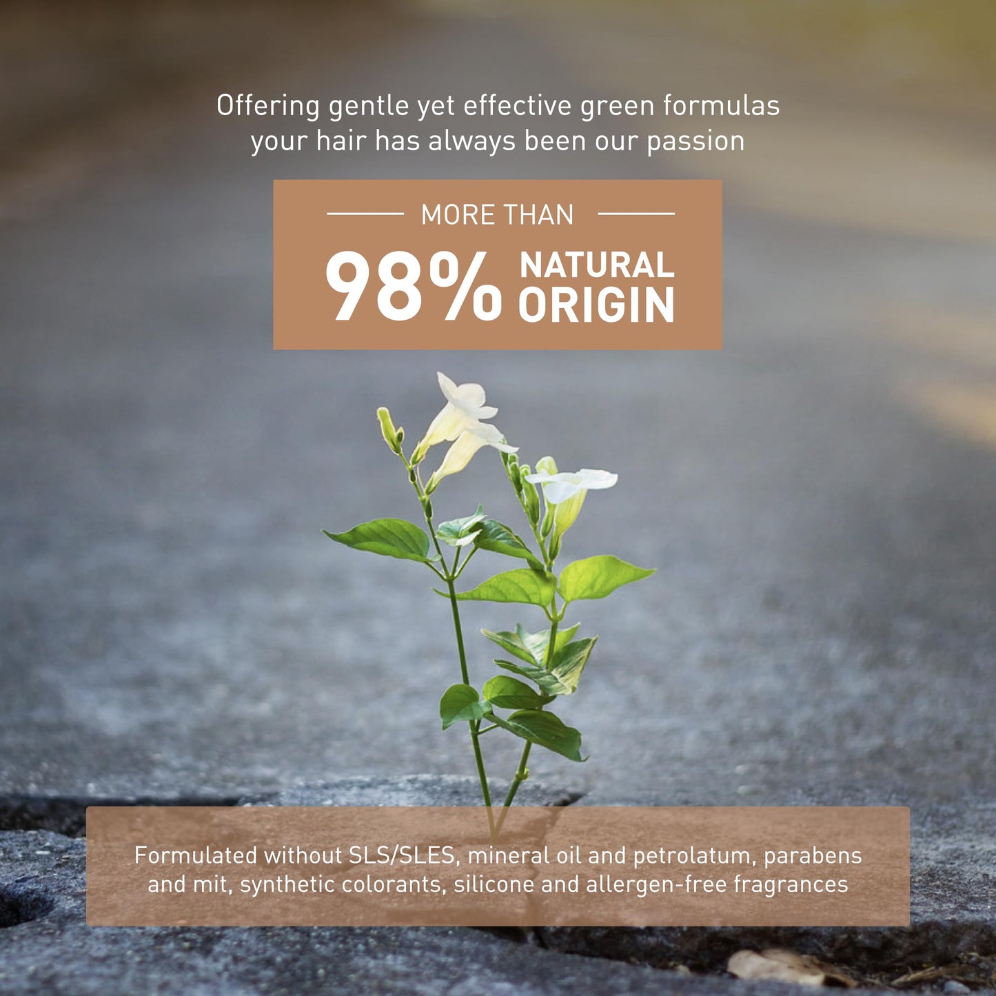 Sensitive Skin Mask by INSIGHT