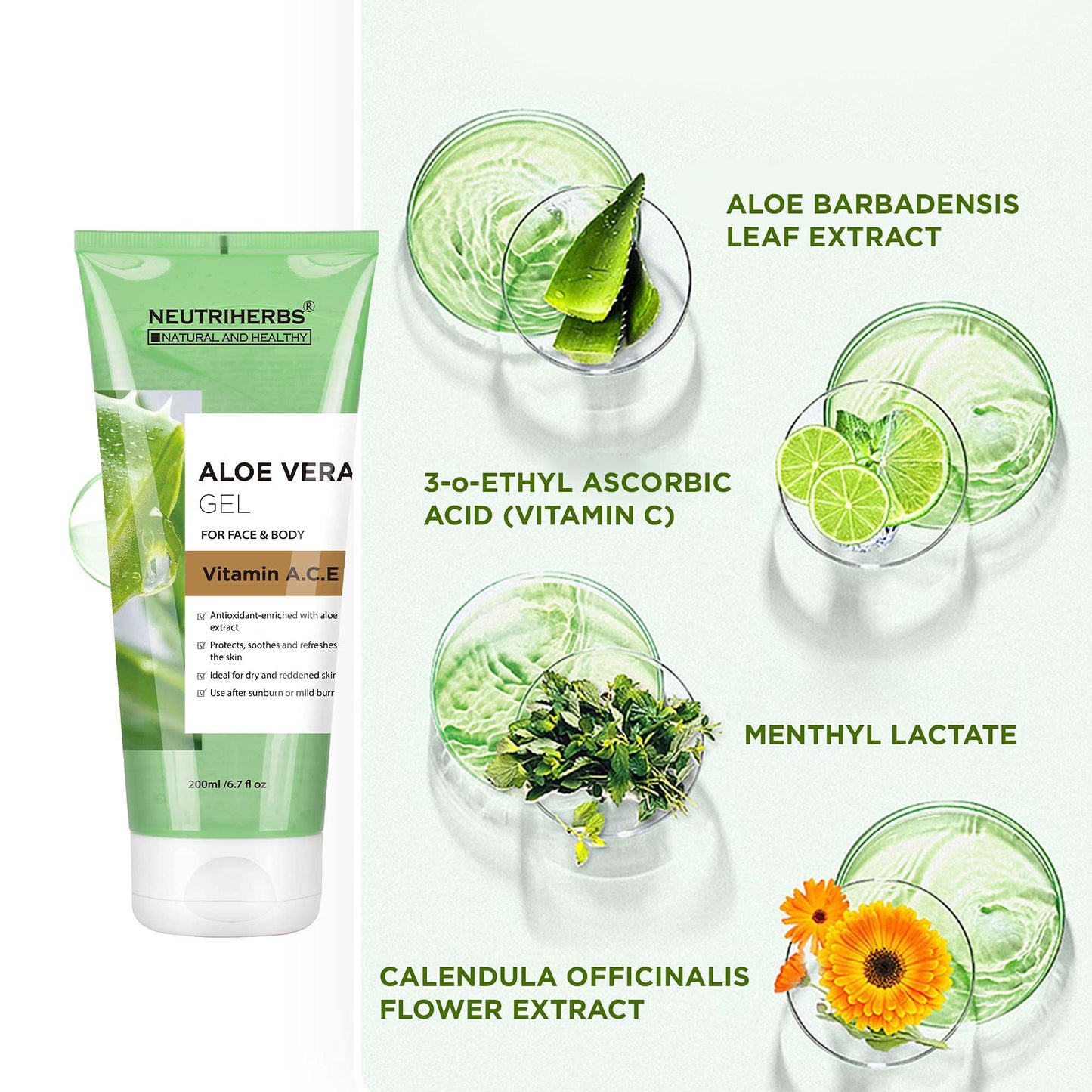Neutriherbs Aloe Vera Gel Pure Aloe Vera Juice with Vitamin A, C, E for Sunburns Acne Dry Skin and Itch Soothing and Moisturing 6.7 Fl Oz