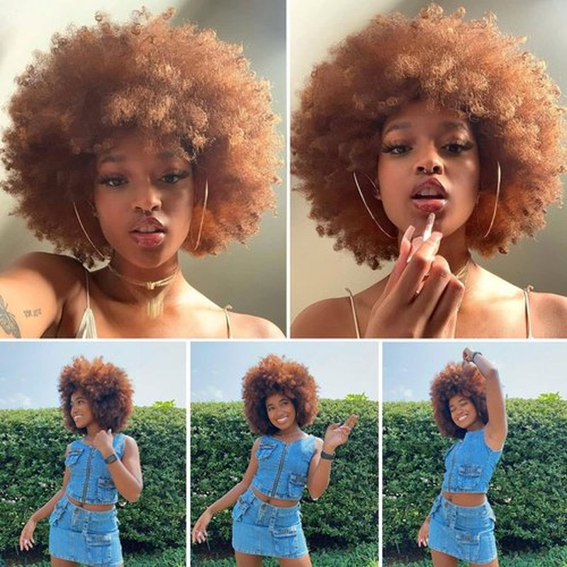 HIHOO Short Afro Wig with Bangs for Black Women Afro Kinky Curly Wig 70s Premium Synthetic Big Afro Wig(Brown)