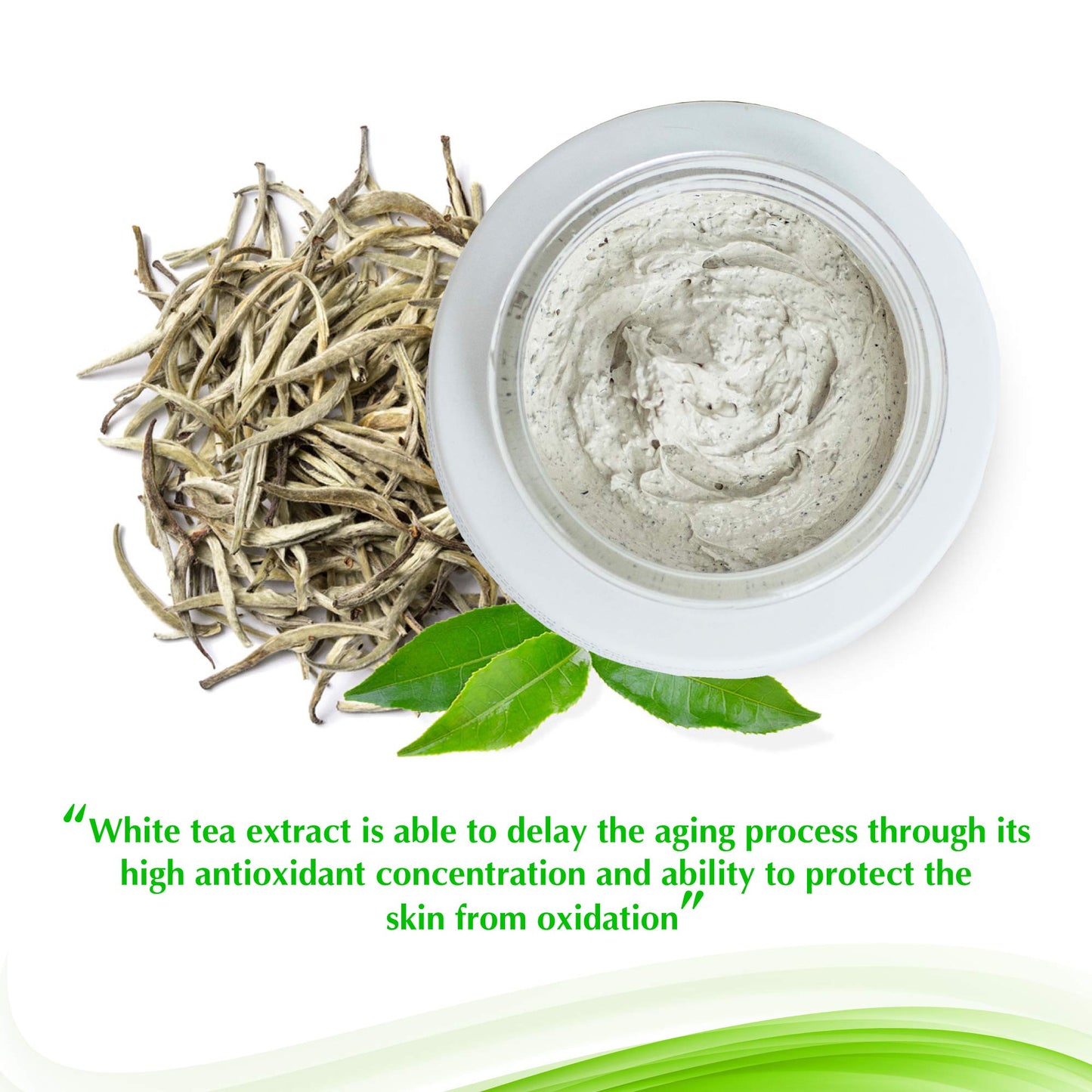 White Tea Mud Mask 100 ml | Antioxidant Facial Treatment | Smoothes Fine Lines Wrinkles, Deep Cleanse, Detoxifies, Removes Blackheads, Pore Minimizer, Younger Looking Skin