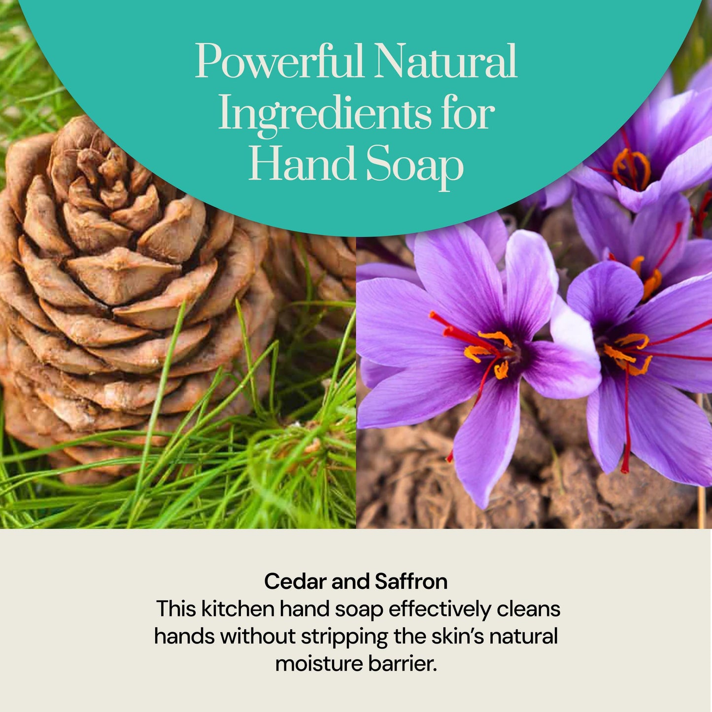 Soapstones Natural Skincare Foaming Hand Soap - 250 mL - Moisturizing, Soft and Hydrating Formula (Cedar & Saffron)