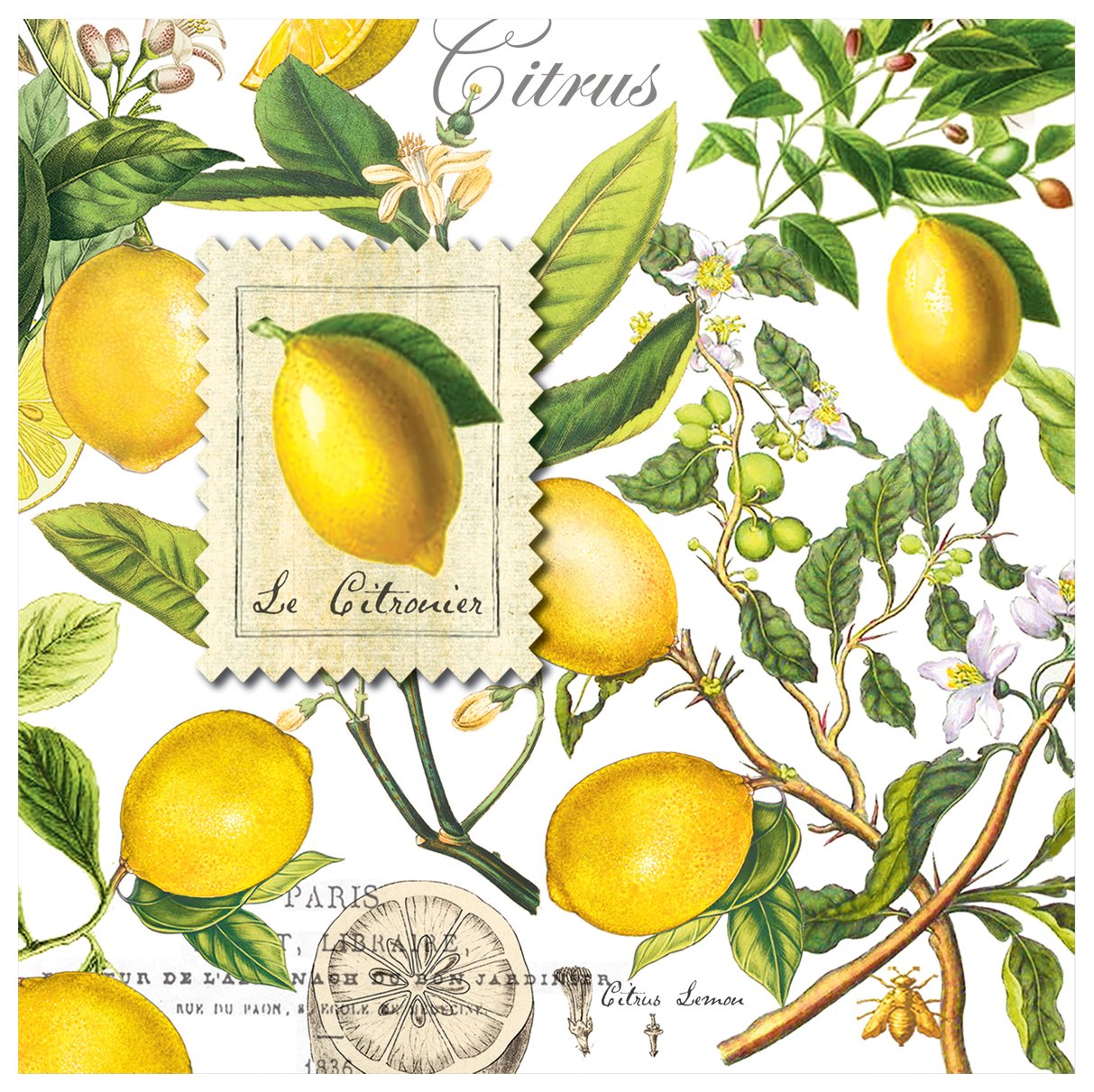 Michel Design Works Soft Triple-ply Paper Luncheon Napkins, Lemon Basil Themed, Perfect for Everday Use and Display, 20 Count
