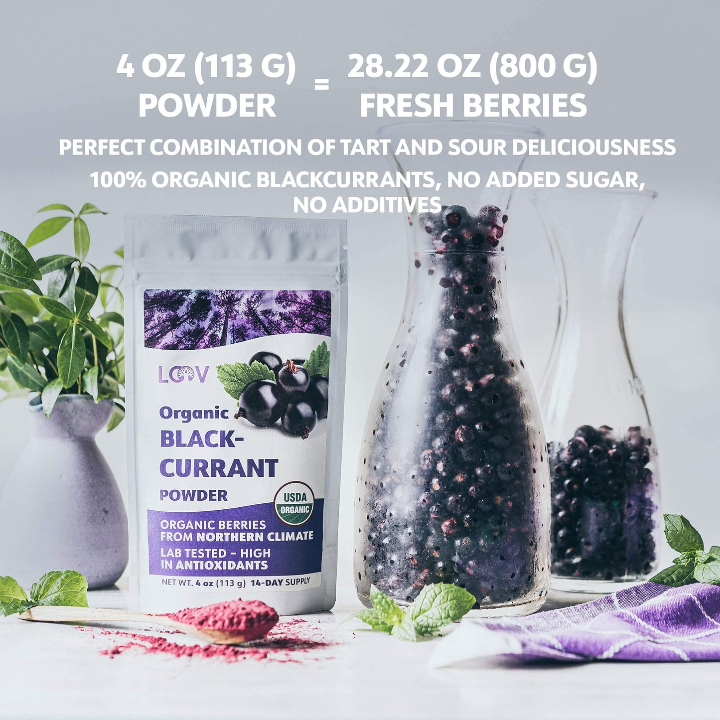 Organic Black Currant Powder – Pure, 100% Natural Whole Fruit, Freeze-Dried & Powdered – Non-GMO, No Added Sugar – Rich in Polyphenols & Vitamin C – 4oz (15 Servings)
