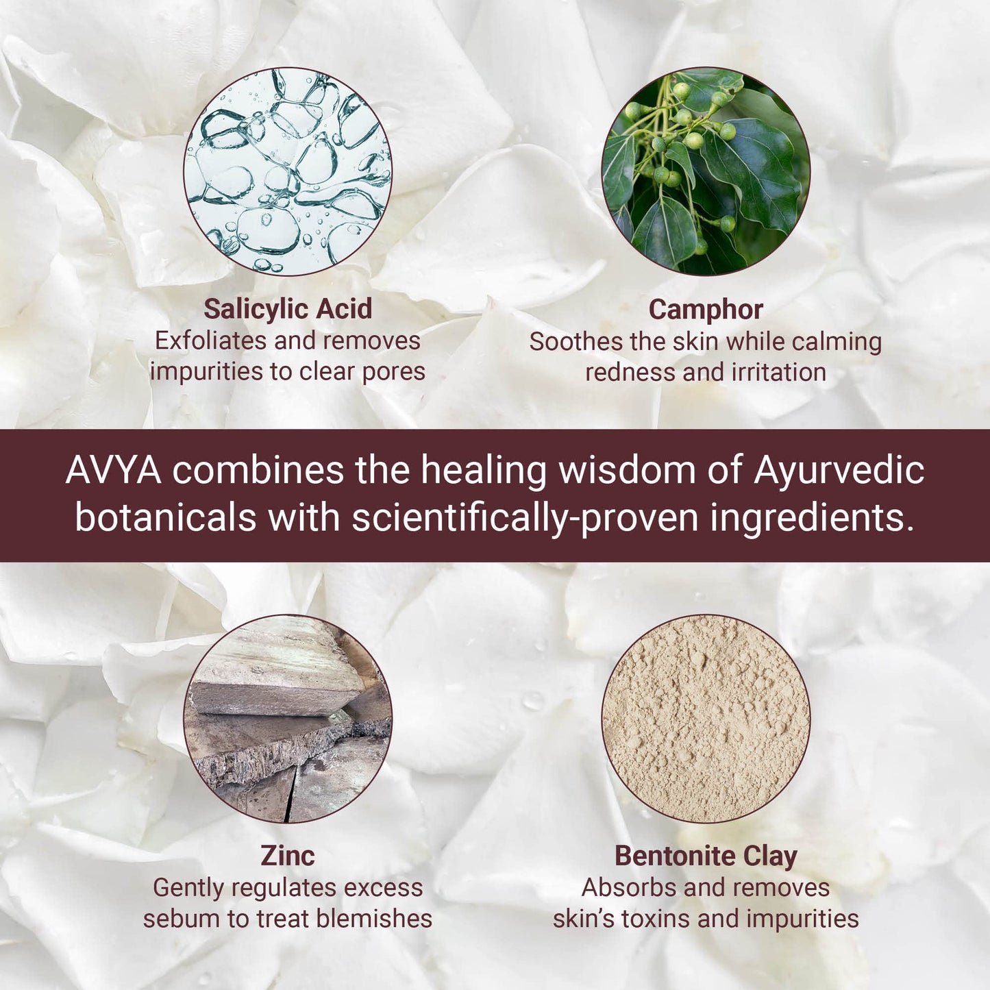 AVYA Hydroveda Essentials Daily Detox Clay Mask (1.7oz) - Bentonite Clay Treatment for Blemishes & Calming Camphor for Inflammation/Remove Impurities and Cleanse Pores