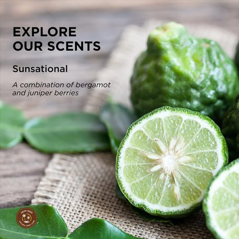 Hemp Seed Hand & Body Lotion, Sunsational Scent - 16 oz. - Soothe Dry Skin - Argan Oil, Hemp Seed Oil - Light, Non-Greasy Formula - Vegan & Cruelty Free