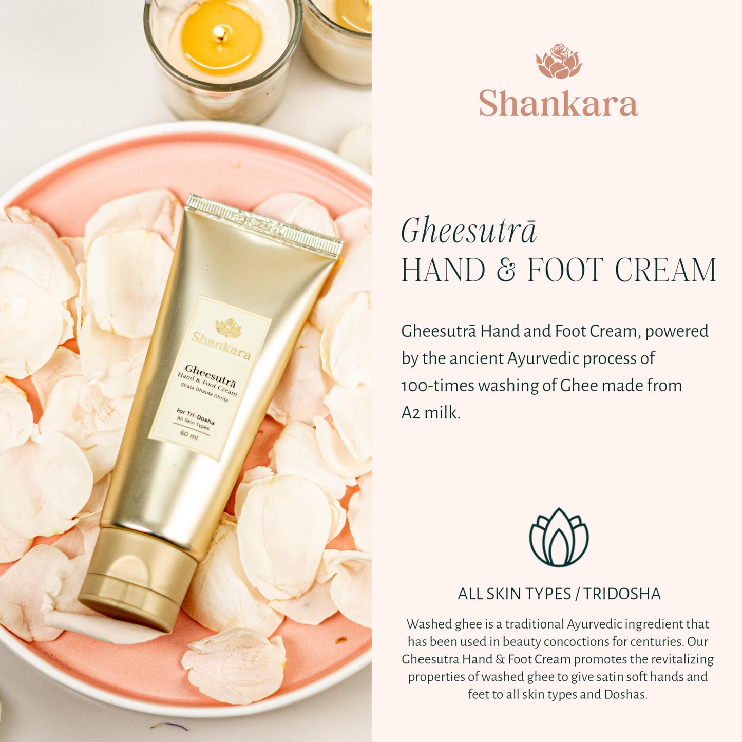 Shankara Gheesutra Hand and Foot Cream with 100X Washed A2 Ghee, Moringa, and Bamboo to Hydrate and Nourish Chapped, Dry Feet and Hands – Ayurvedic Foot Care for All Skin Types