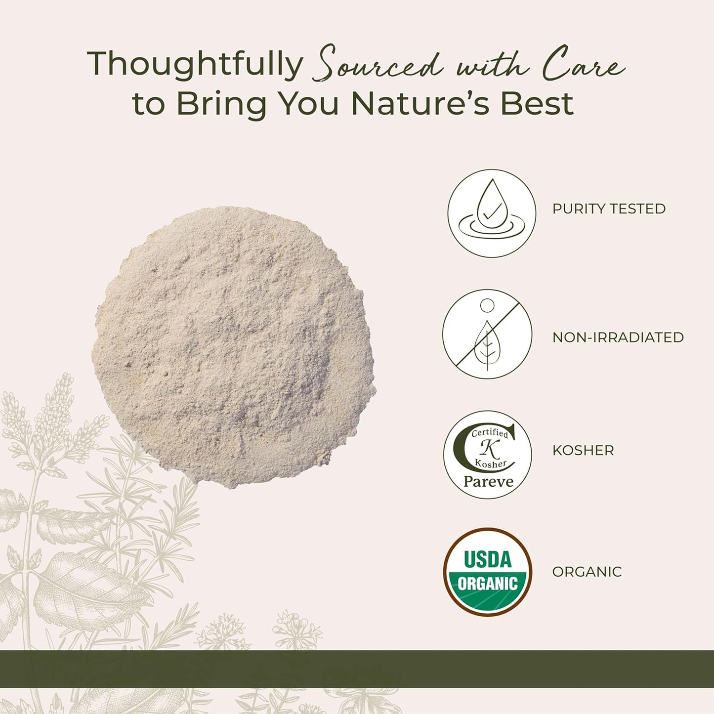 Starwest Botanicals Organic Astragalus Root Powder - Dried Herb for Tea, Natural Immune Support, Promotes Wellness, Certified Kosher, Non-GMO- Bulk 1 lb Bag