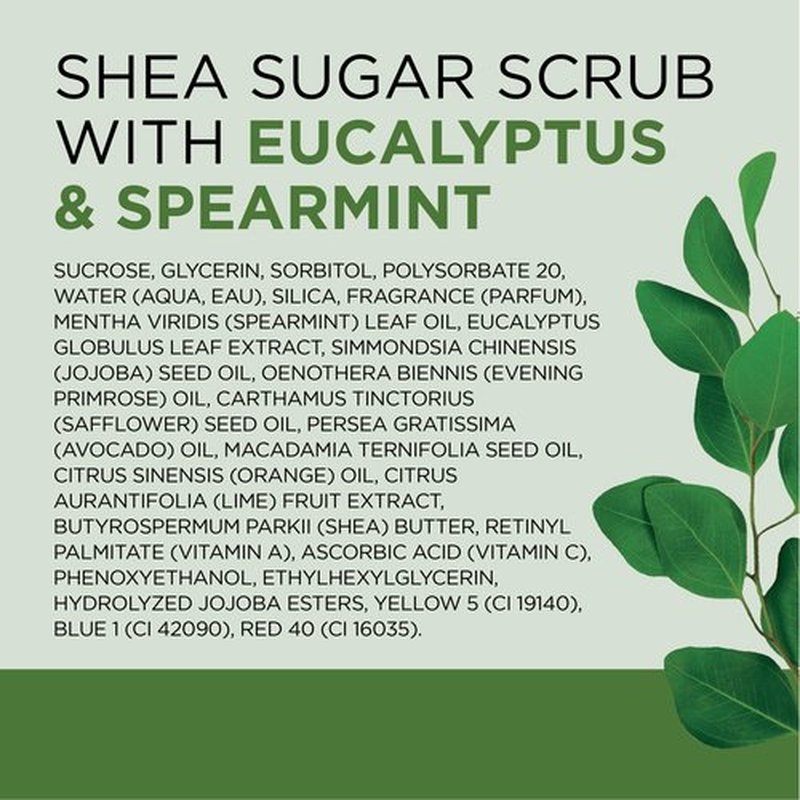 Dr Teal's Shea Sugar Scrub, Eucalyptus & Spearmint Essential Oils, 19 oz (Pack of 3)